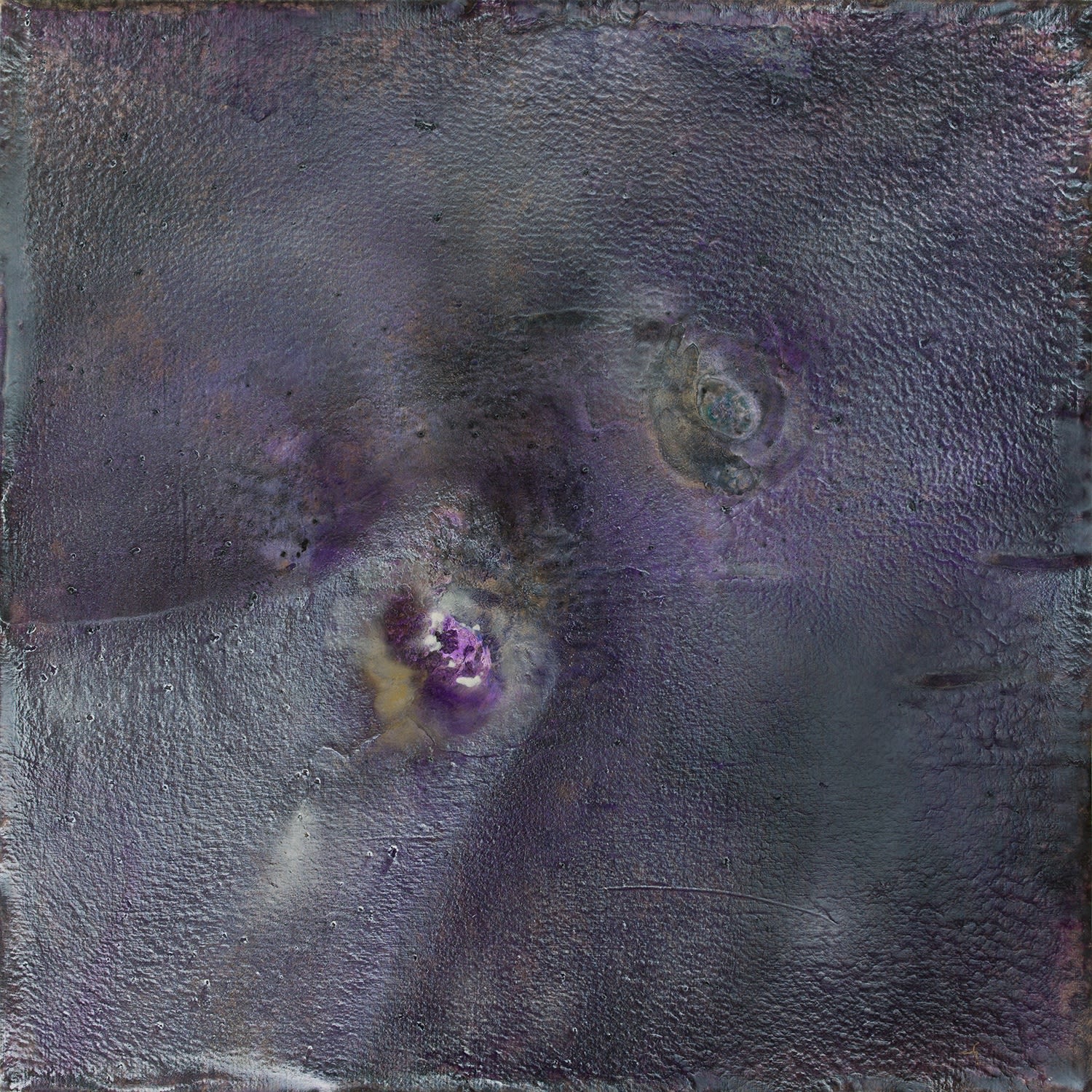 BoBak Etminani Organic Expanse #4, 2014