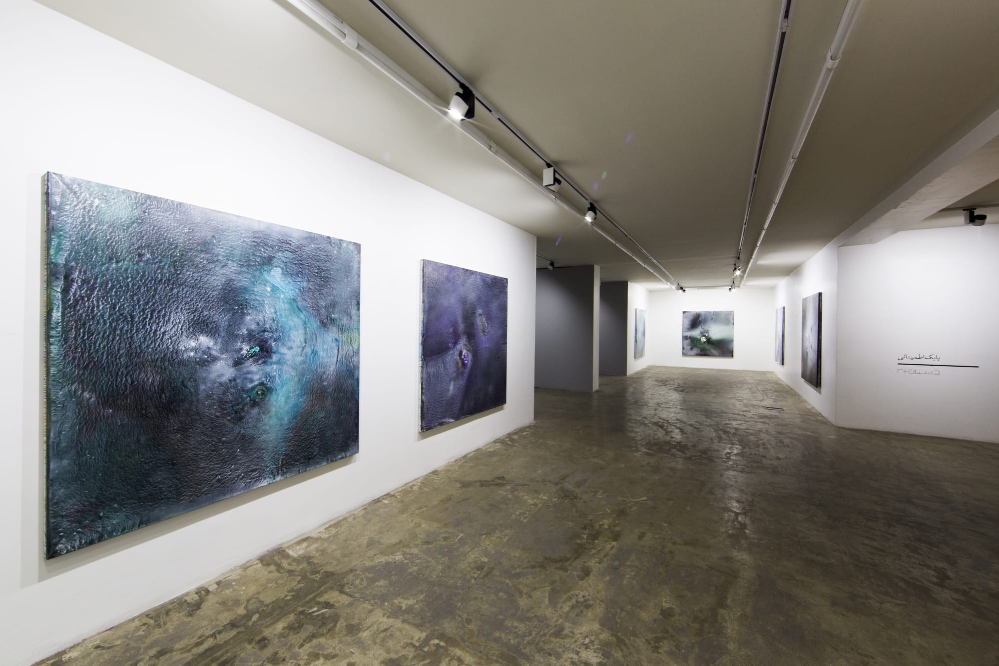 BoBak Etminani | "Organic Expanses"