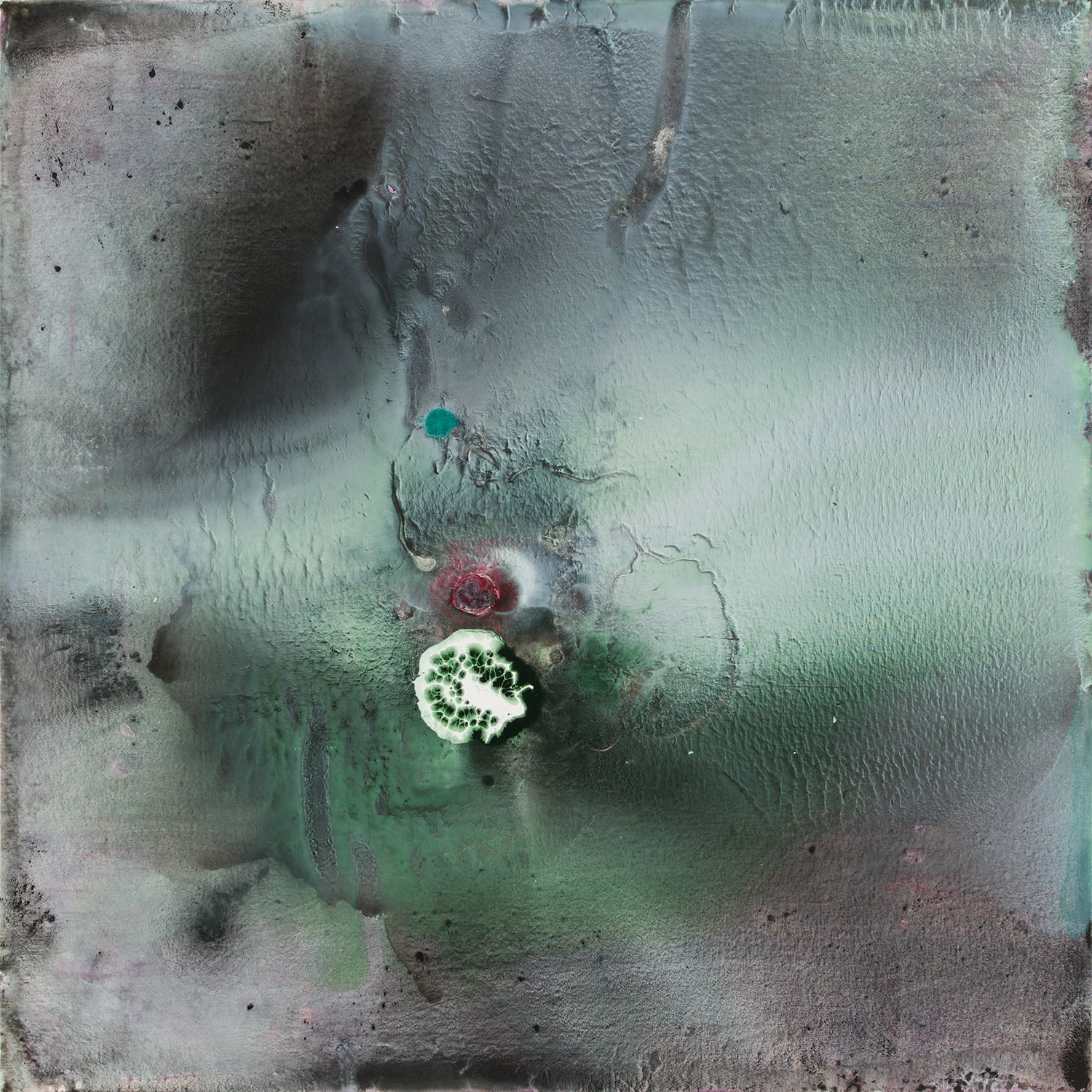 BoBak Etminani Organic Expanse #7, 2015