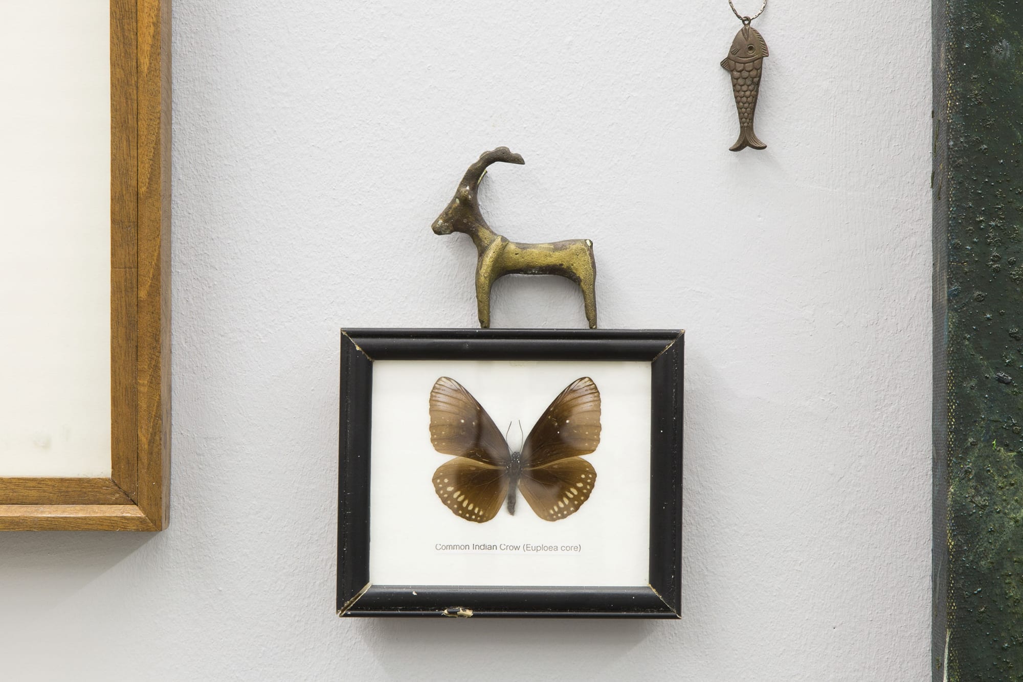 Maryam Farhang | "The Silent Narrative of Things"