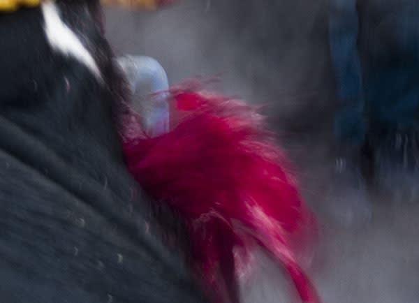 Joubeen Mireskandari | "The Sacrifice —or How I Learned to Stop Worrying and Love the Blood!"