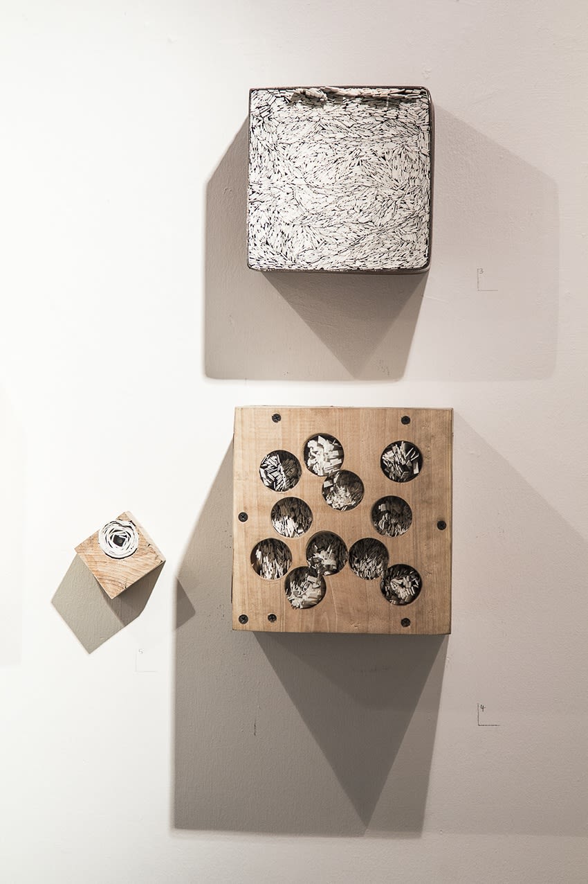 Drawing House Members | "White"