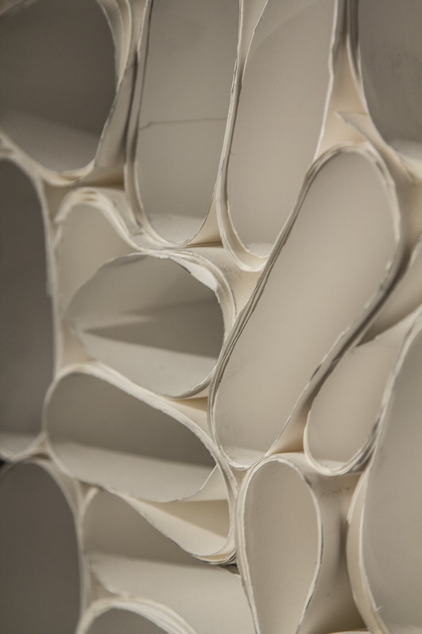 Drawing House Members | "White"