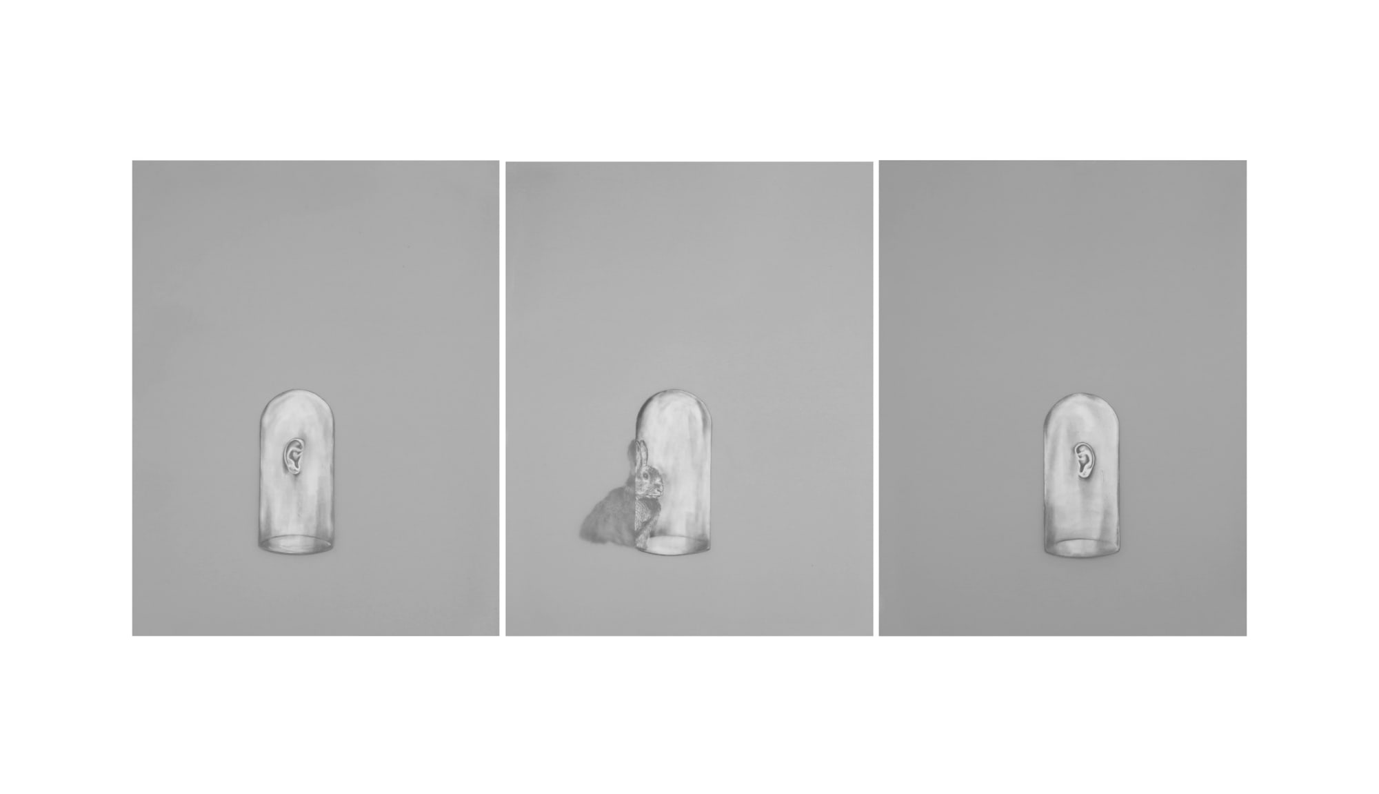 Bahareh Navabi | "Balance of Reflection"