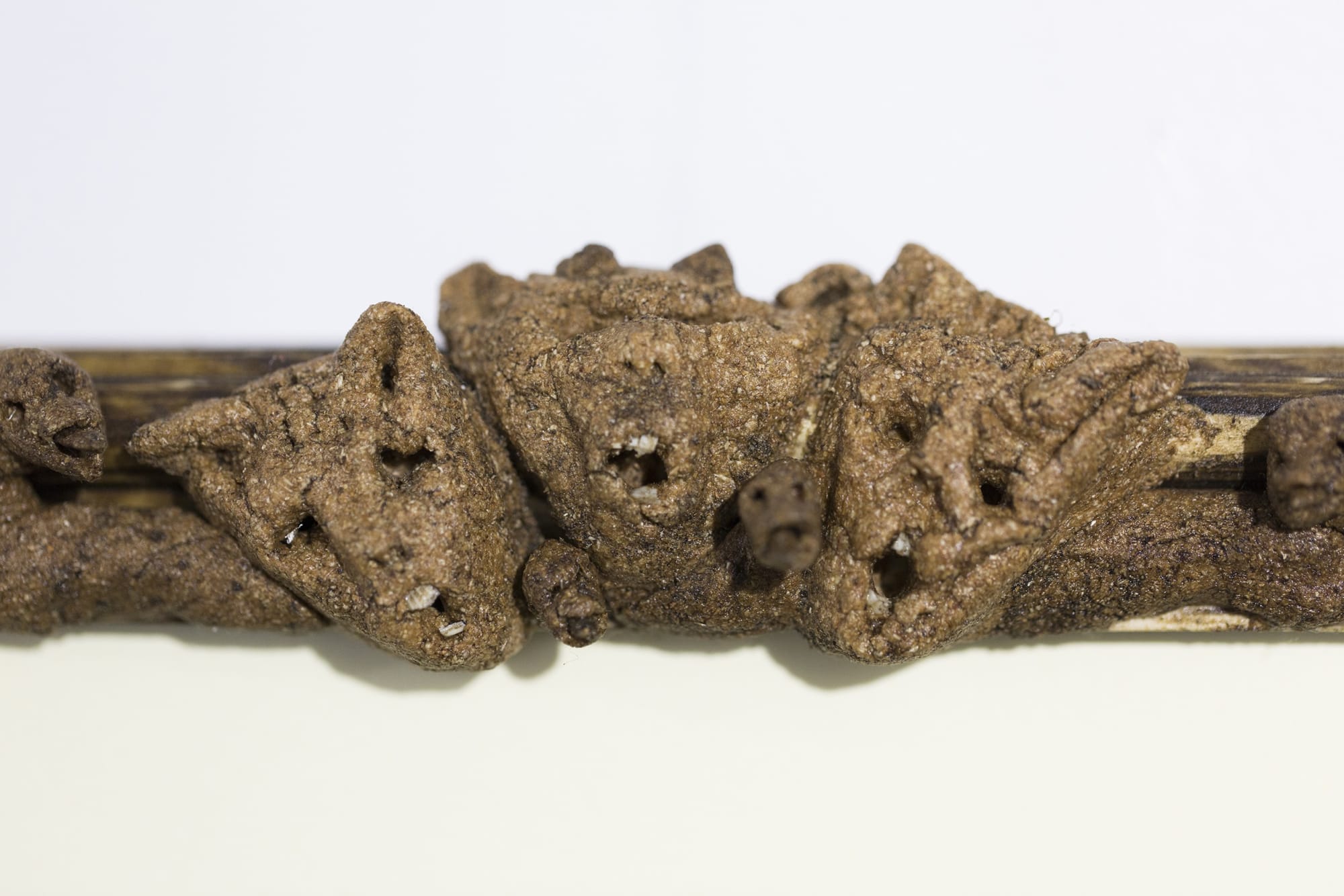 Installation View of Zahouk a solo presentation of works by Peybak.