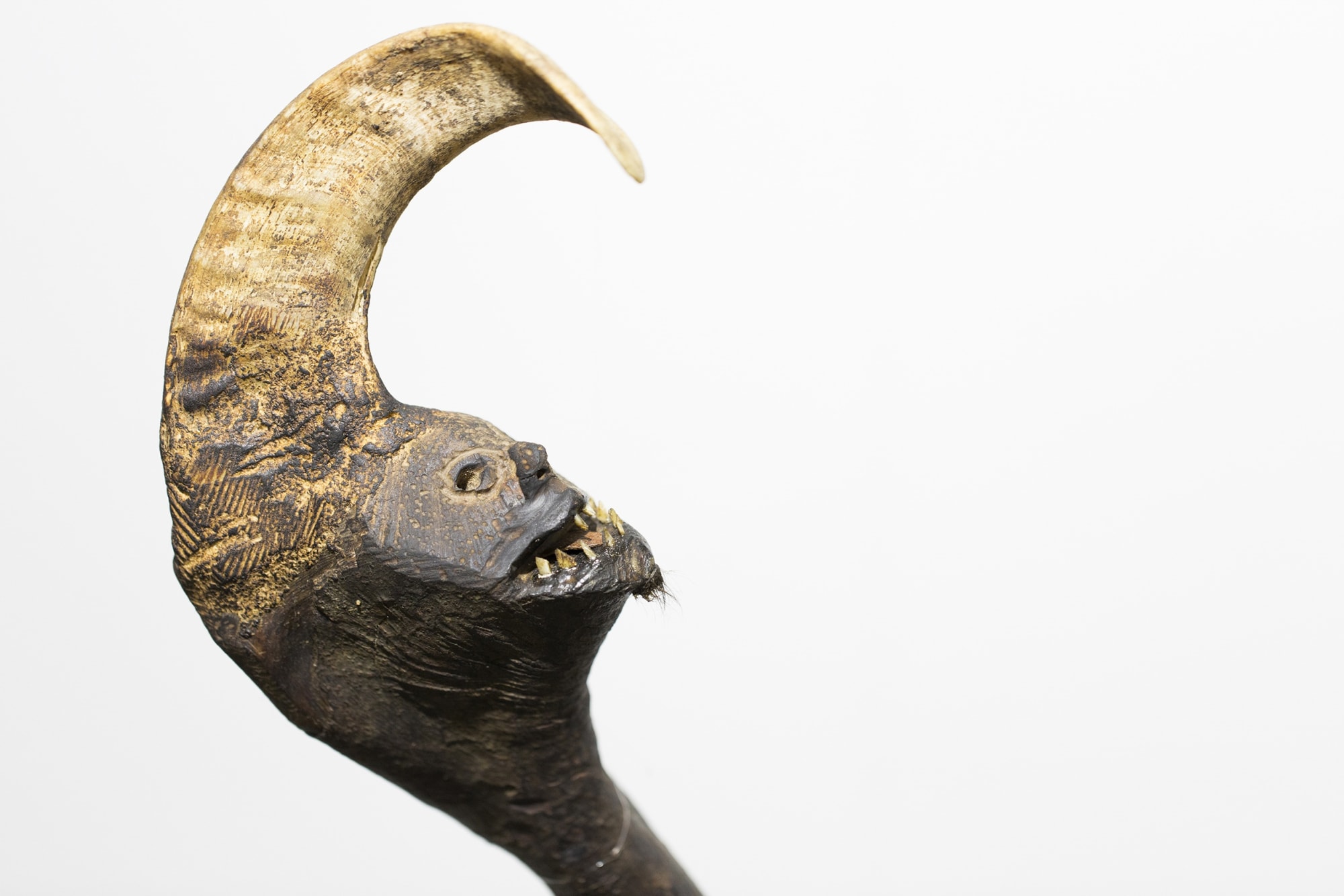 Installation View of Zahouk a solo presentation of works by Peybak.