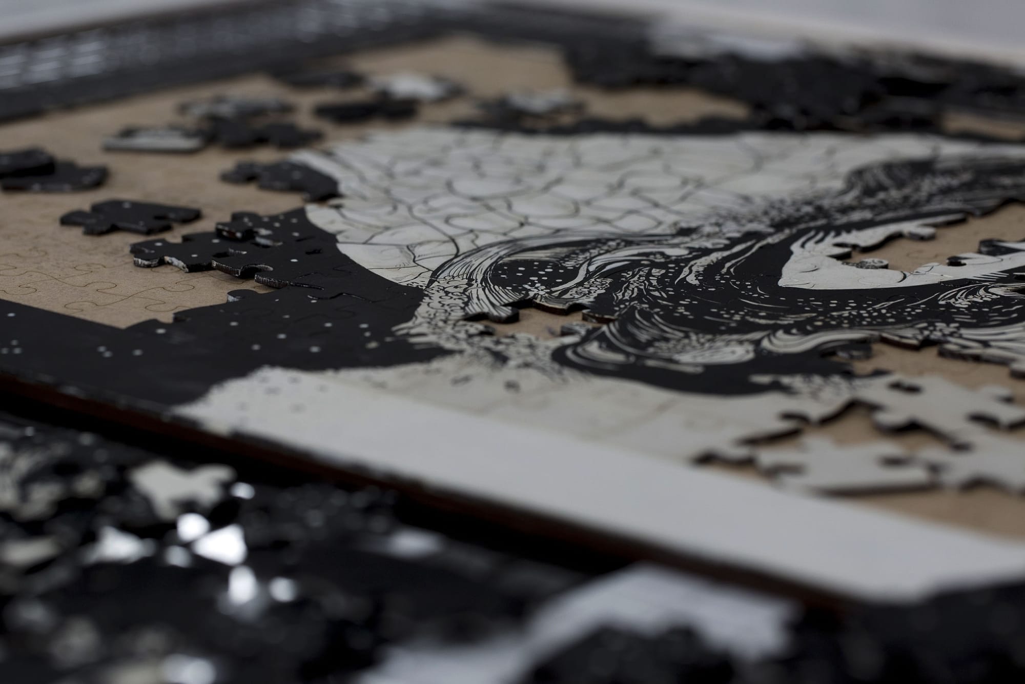 Shokoofeh Khoramroodi & Taba Fajrak | "Tales of Interdisciplinia: The Curious Company of a Very Long Tail"