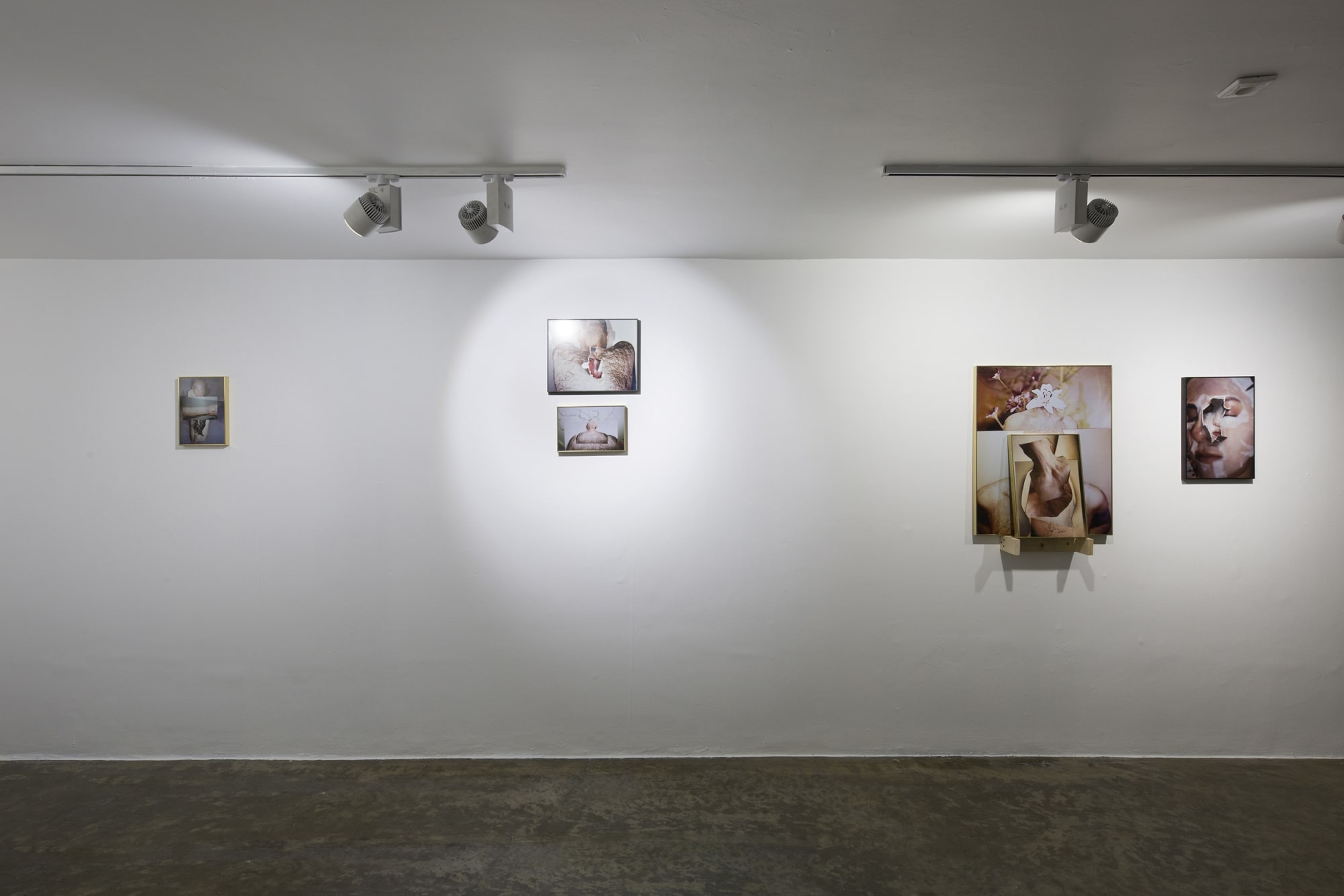 Alborz Kazemi | "Image Corpus"