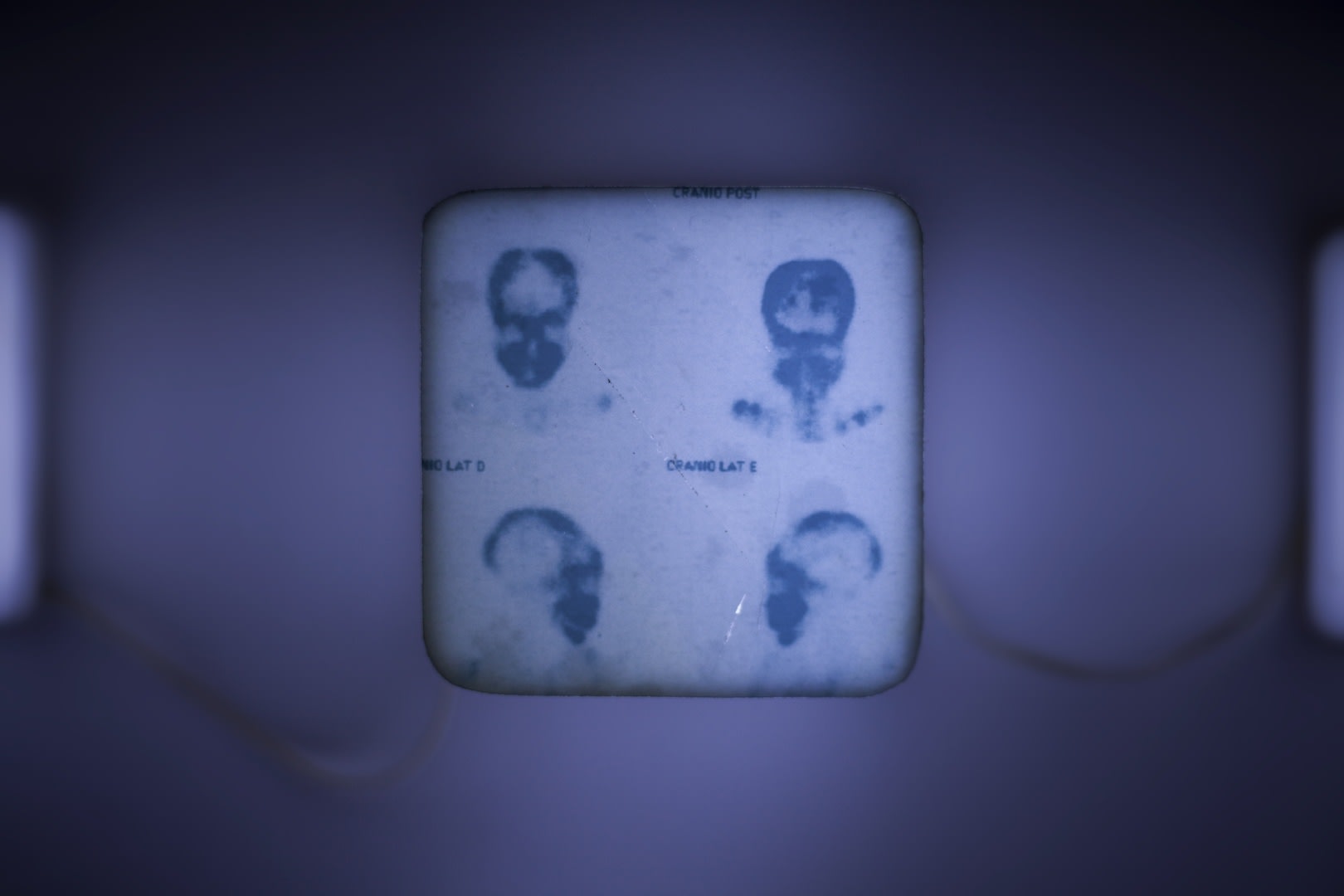 Sina Choopani | ''Crucified''