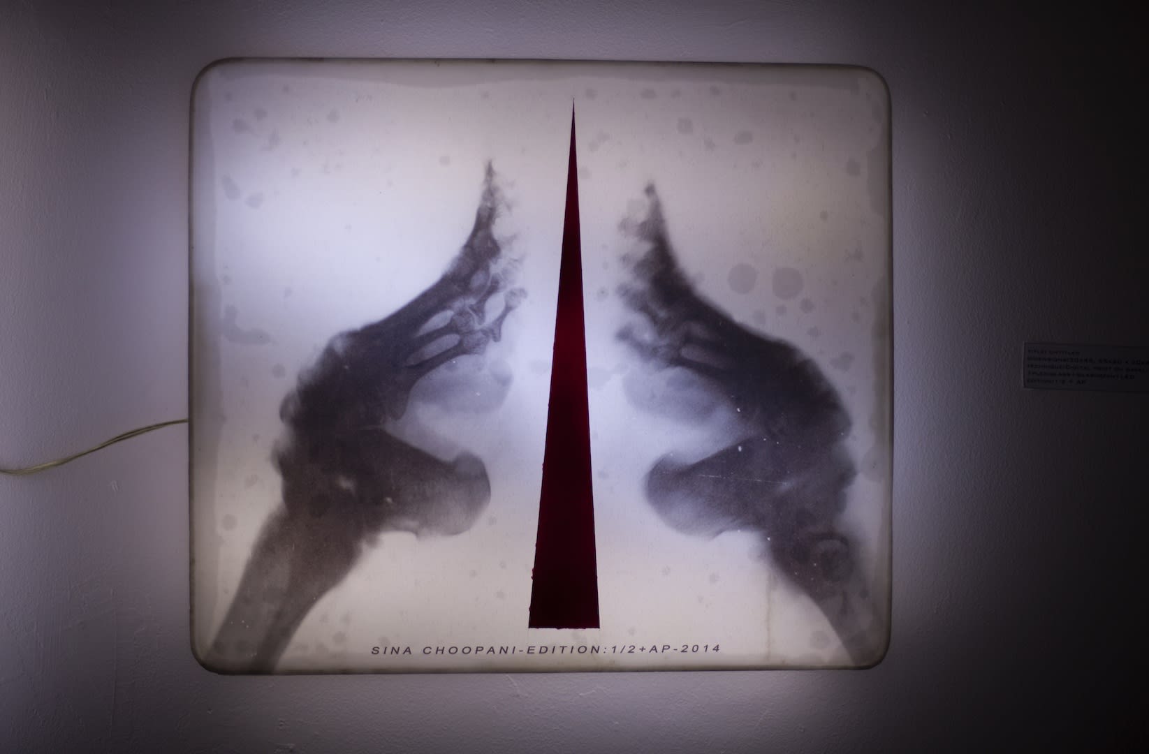 Sina Choopani | ''Crucified''