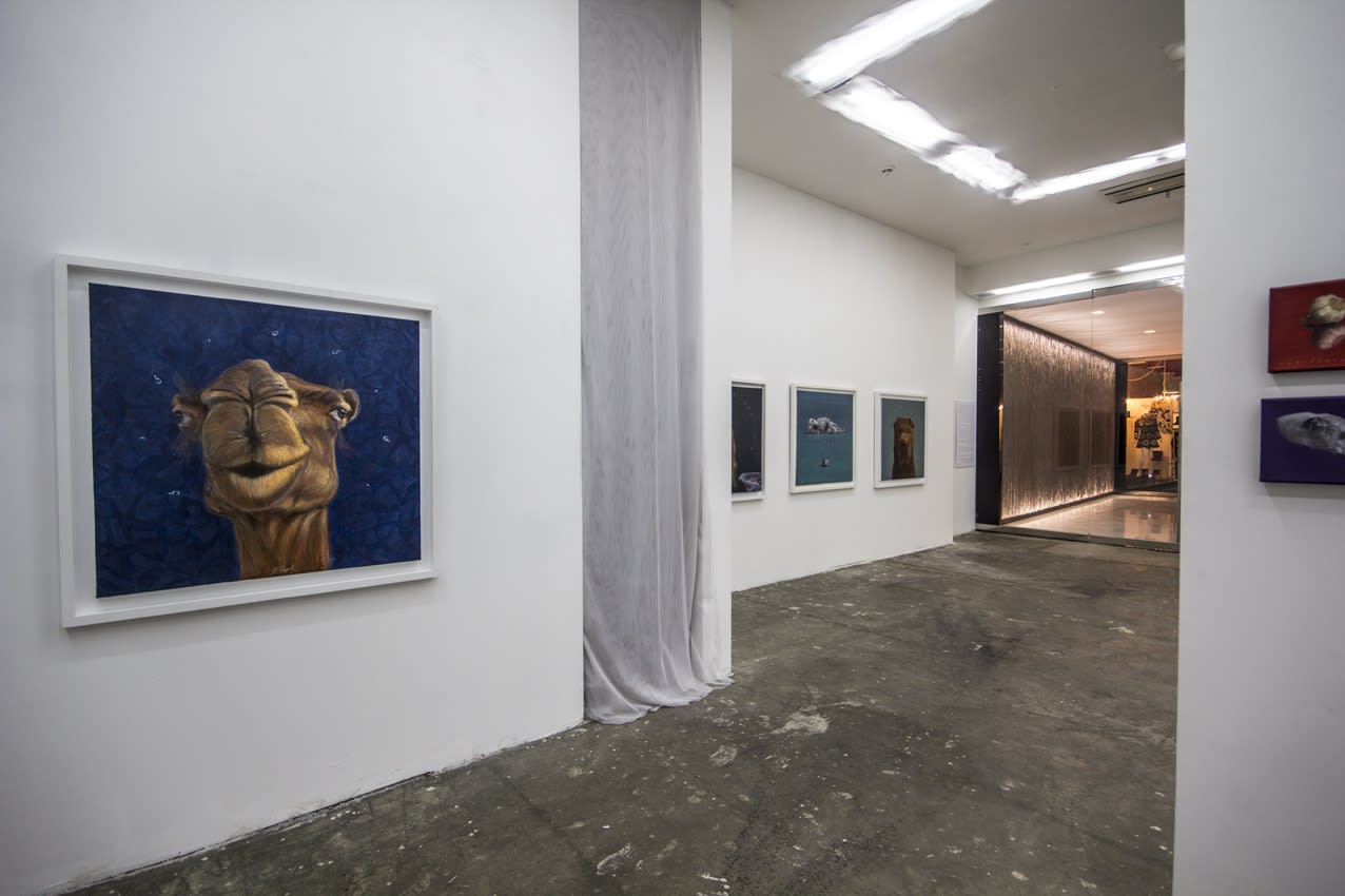 Mehran Zirak | "Face to Face"