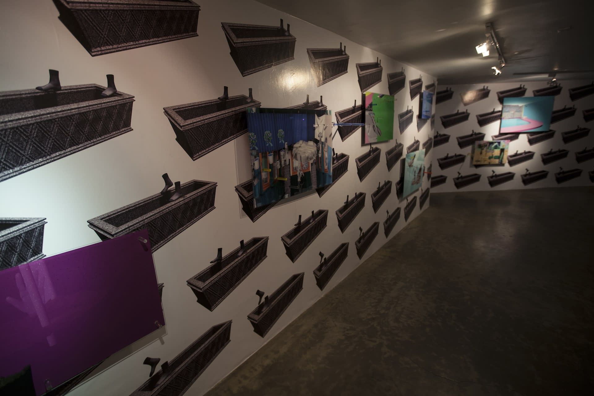 Mamali Shafahi | ''Broken SD''