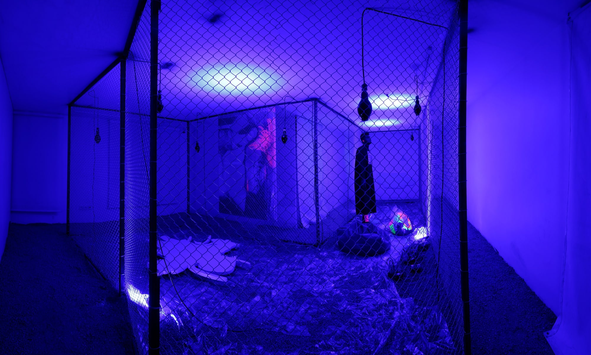 Mamali Shafahi and Mimi Amini | "The Underworld and its Emergent Effects"