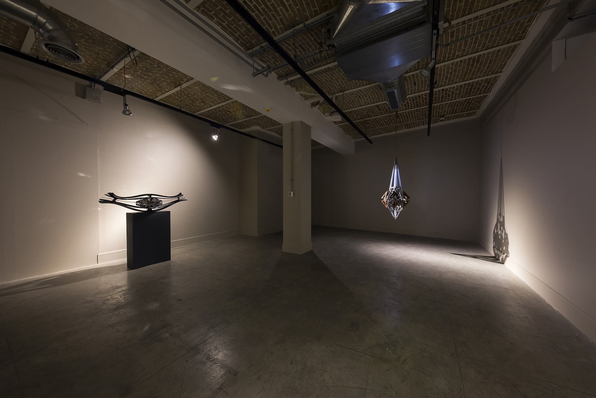 Photo by Matin Jameie