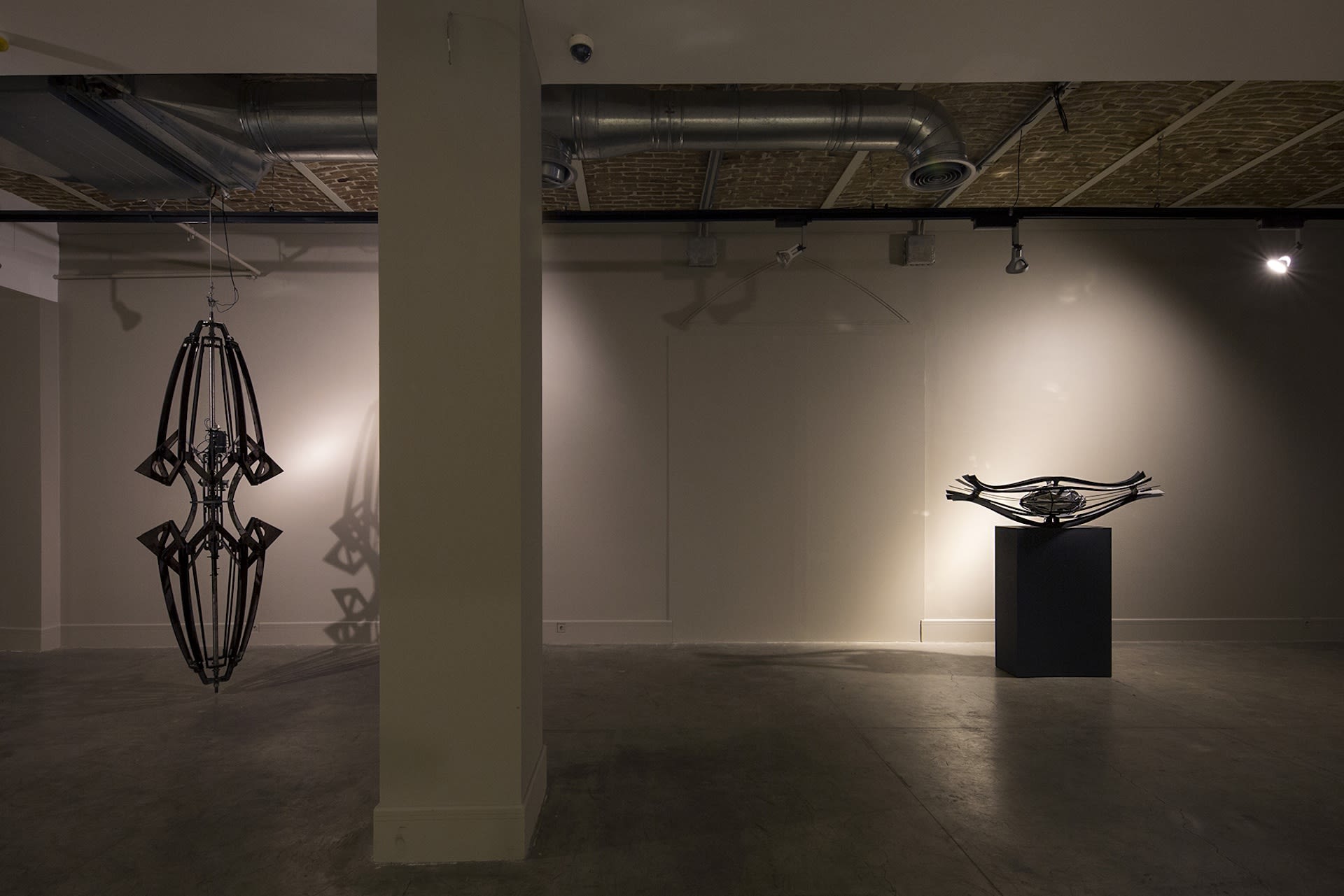 Photo by Matin Jameie