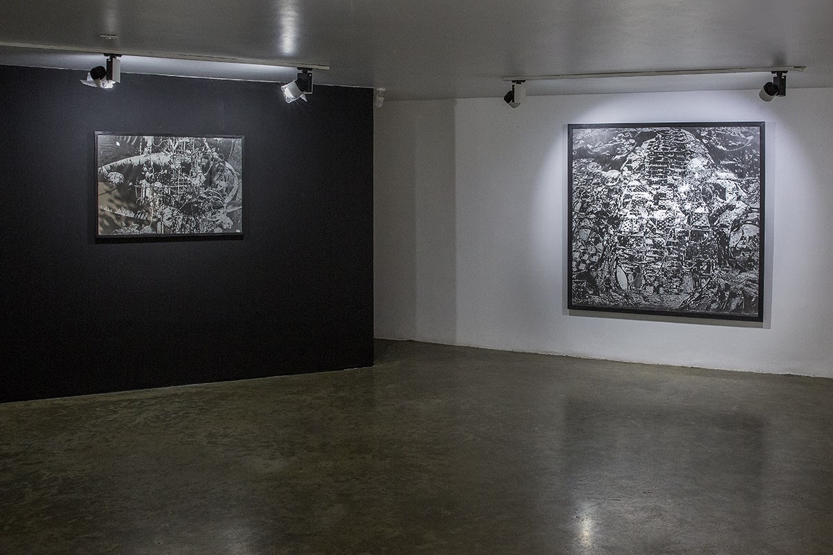 Amir Mohammadzadeh | "Positive"