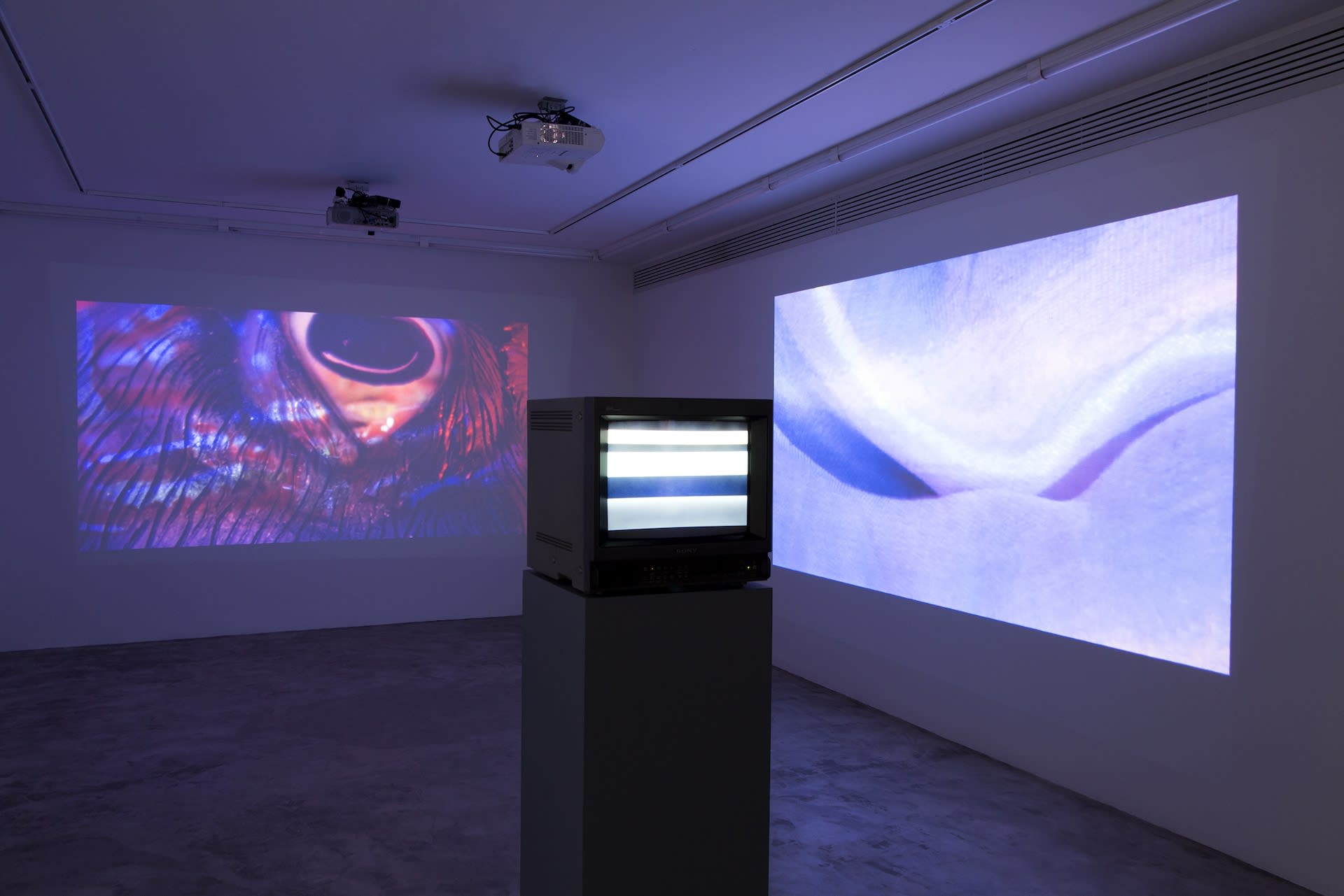 Installation View of Shimmers a solo Installation of Video Works by Isabelle Cornaro.