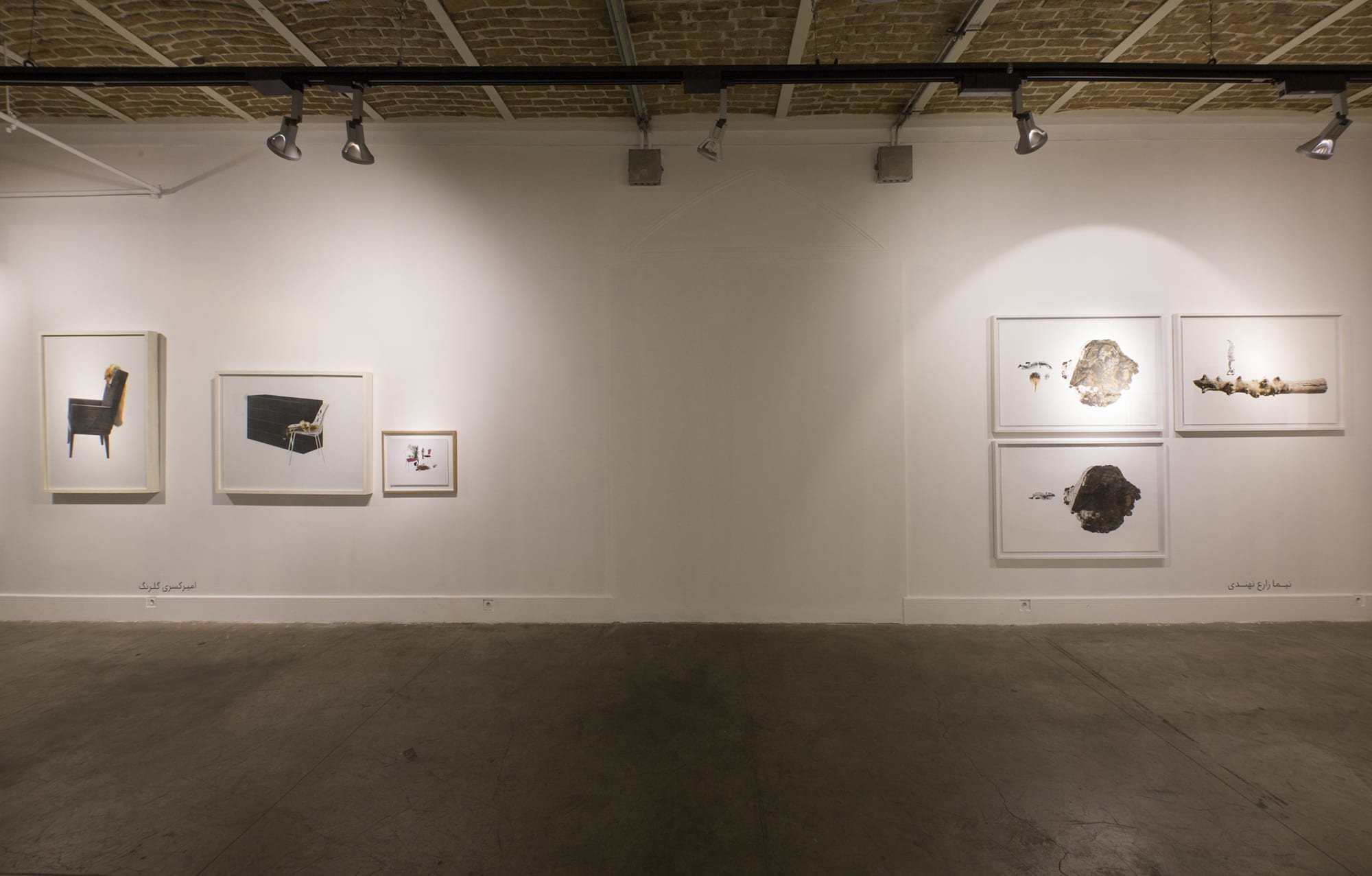 "Encircle the Apple or Shadowlessness"