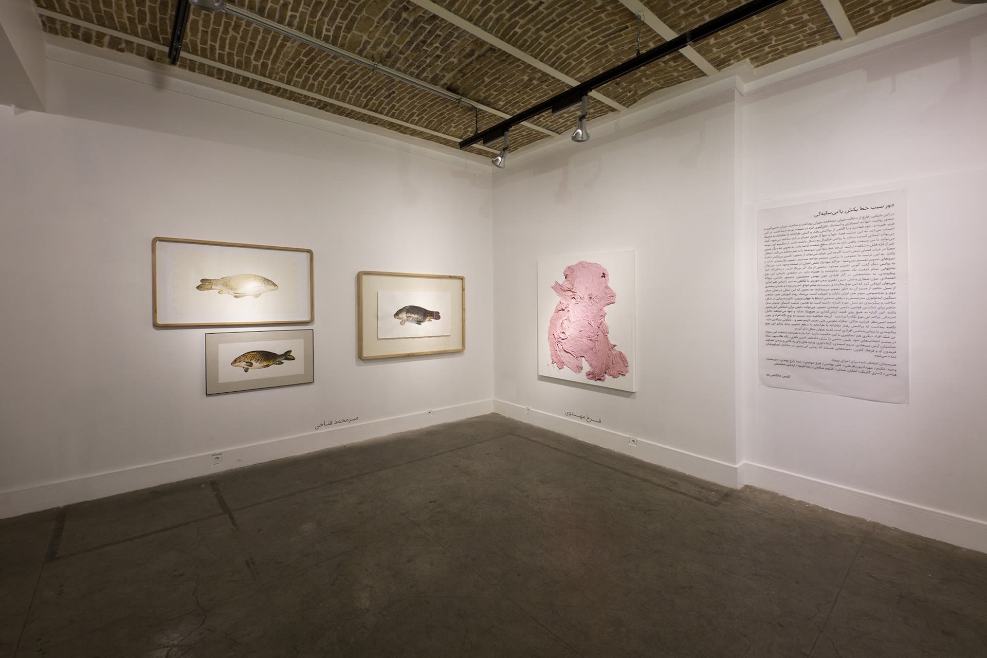 "Encircle the Apple or Shadowlessness"