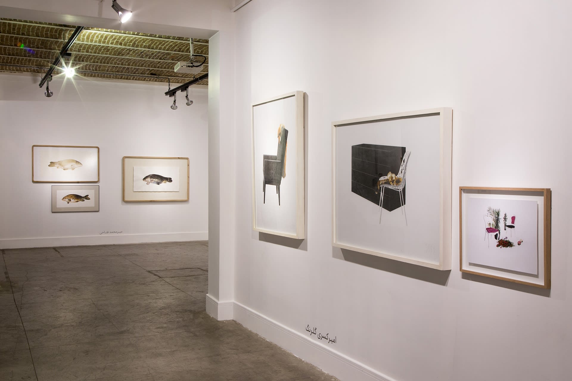 "Encircle the Apple or Shadowlessness"