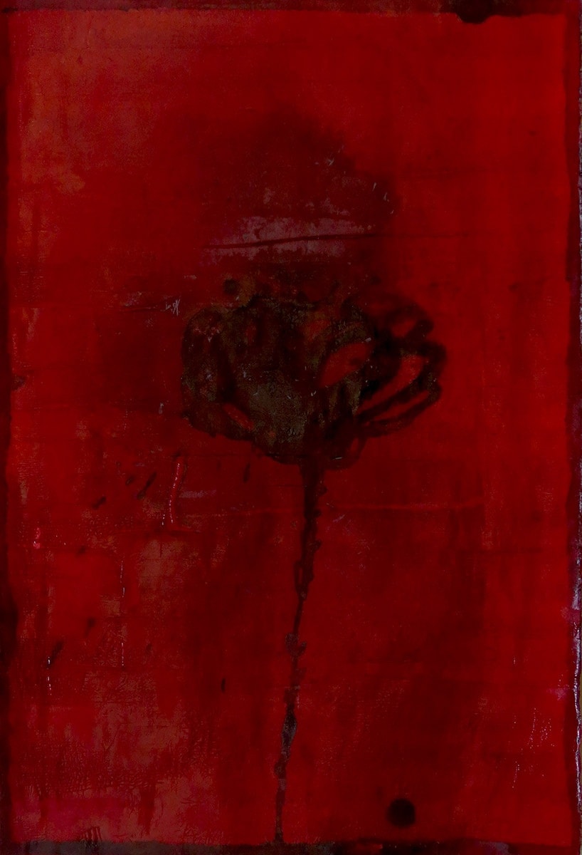 Aidin Xankeshipour | "Stranger"