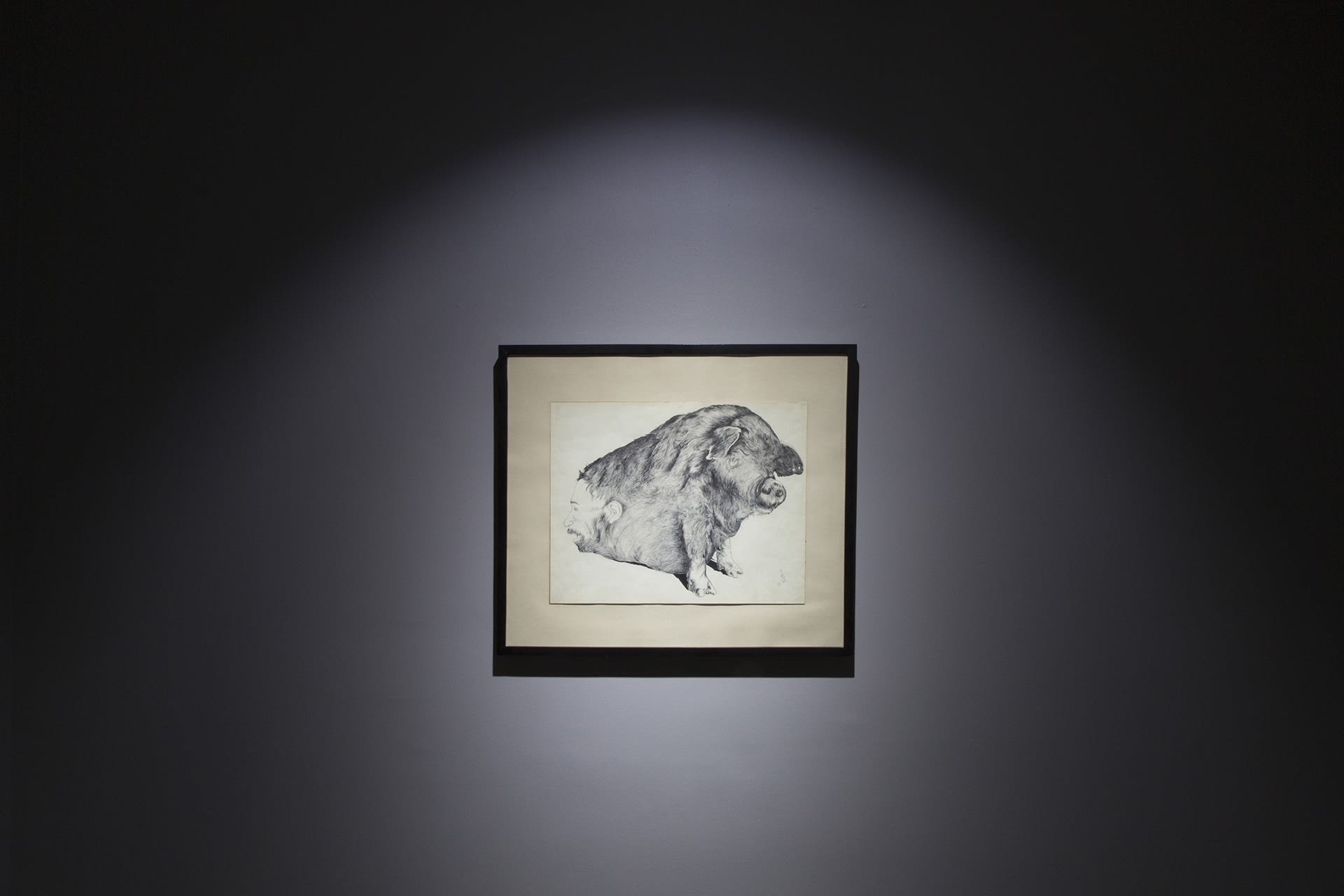 Ardeshir: Stormy Weather