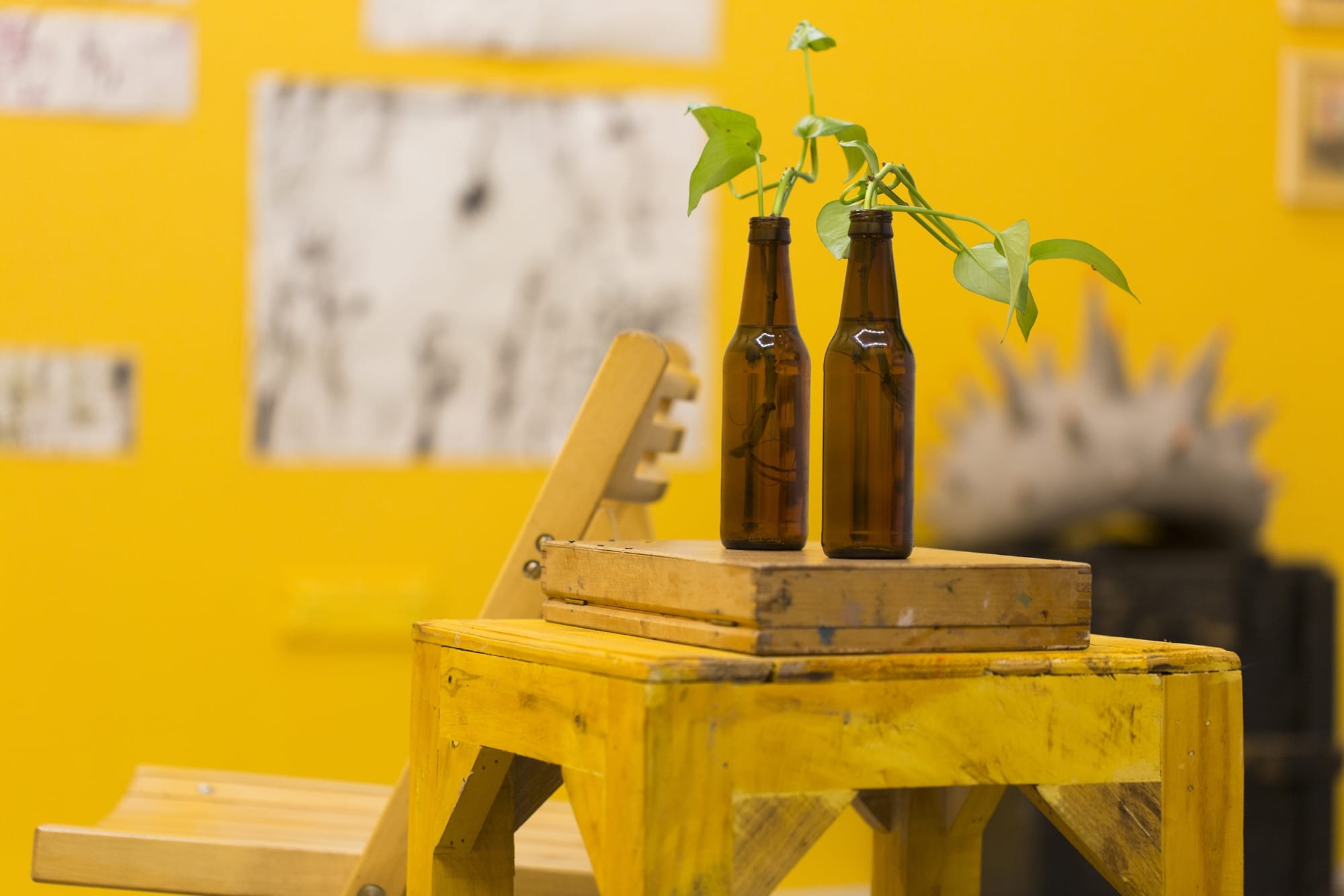 Zahra Navaei | "As It Is"