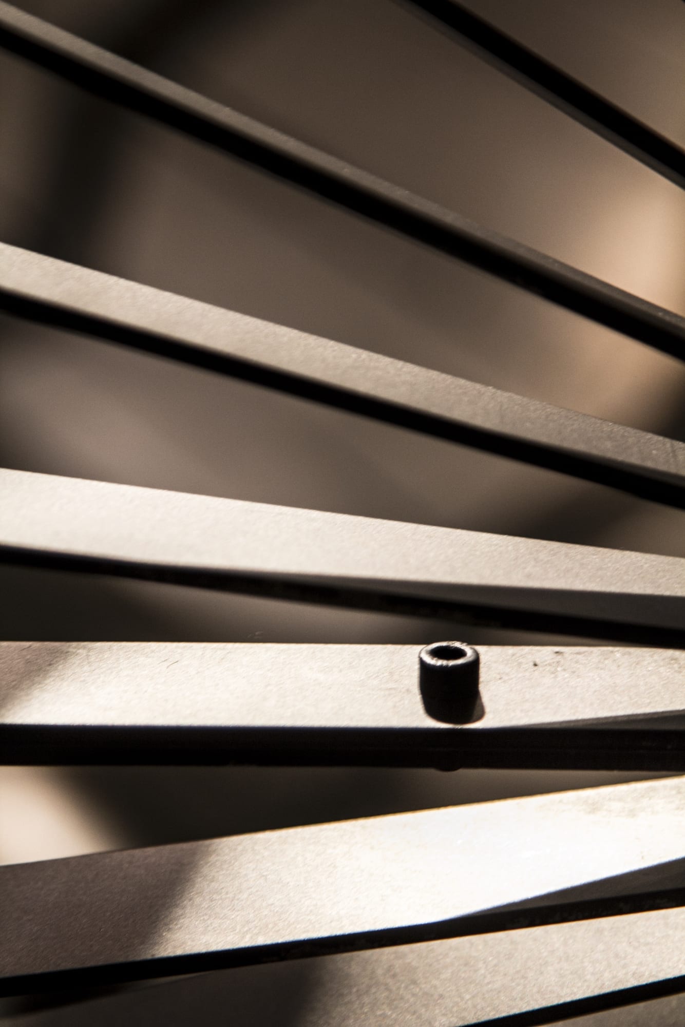 Sahand Hesamiyan | "Tavizeh"