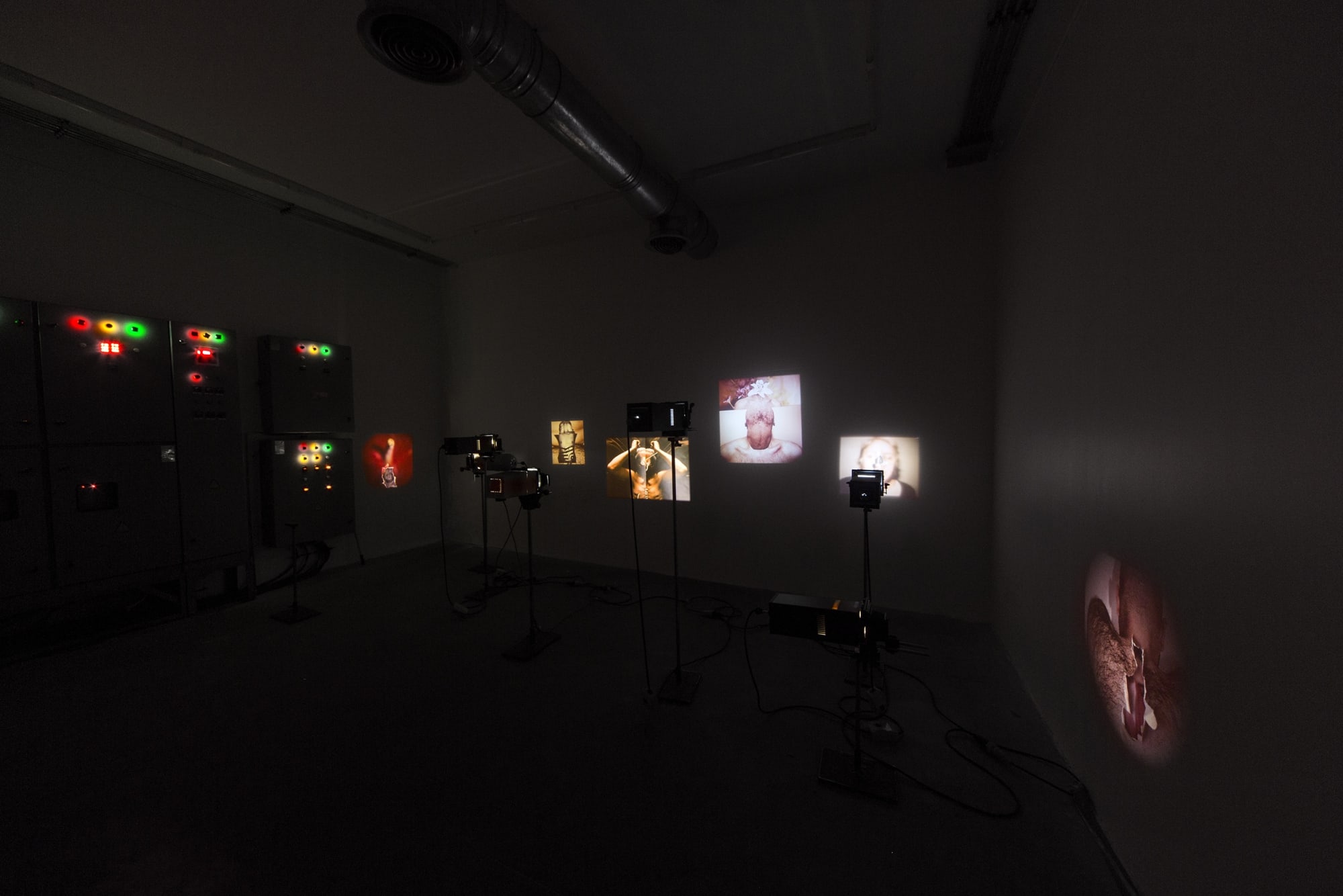 Alborz Kazemi | "Pieces of Body"