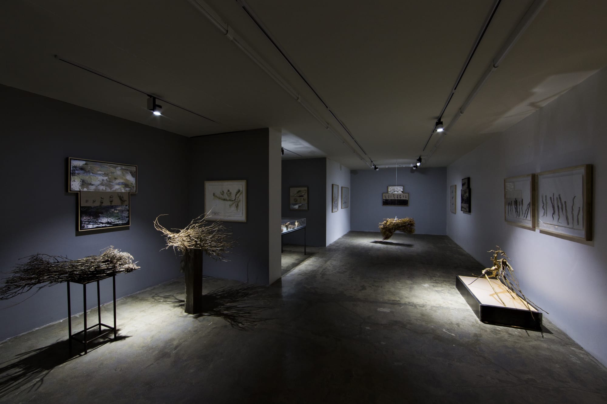 Fereydoun Ave & Shaqayeq Arabi | "Roots"