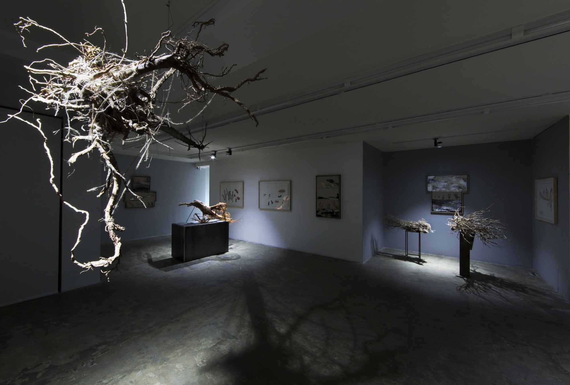 Fereydoun Ave & Shaqayeq Arabi | "Roots"