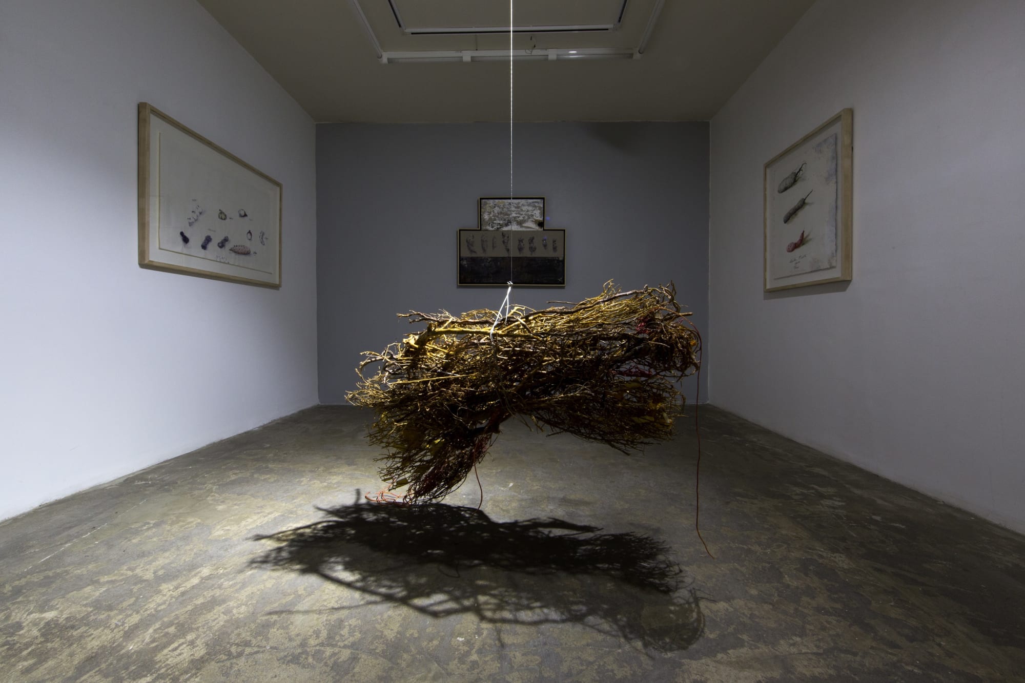 Fereydoun Ave & Shaqayeq Arabi | "Roots"