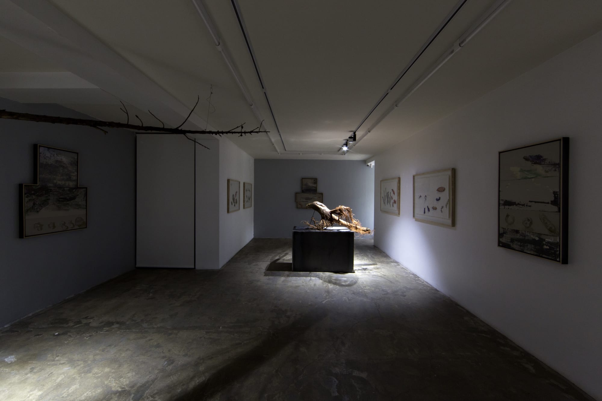 Fereydoun Ave & Shaqayeq Arabi | "Roots"