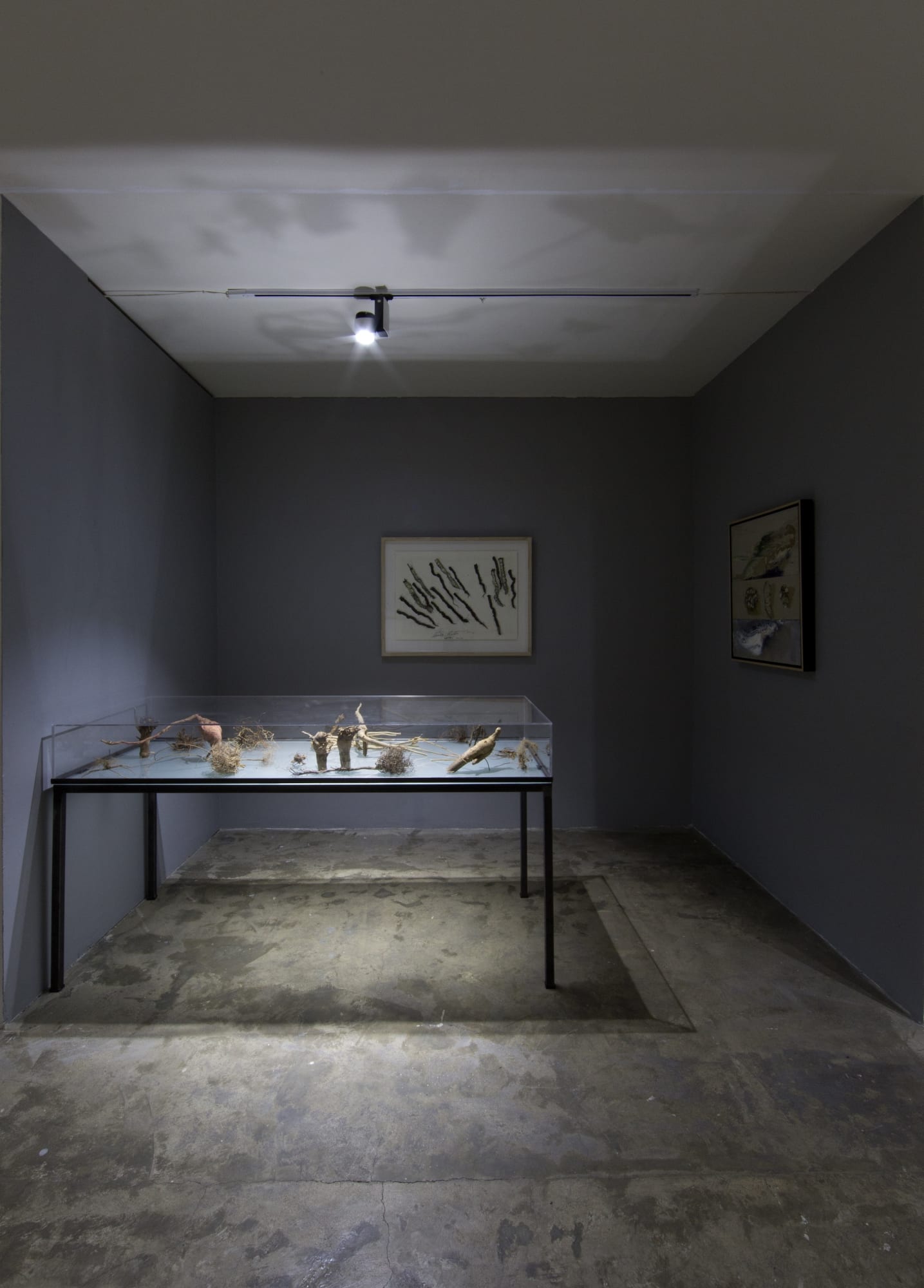 Fereydoun Ave & Shaqayeq Arabi | "Roots"