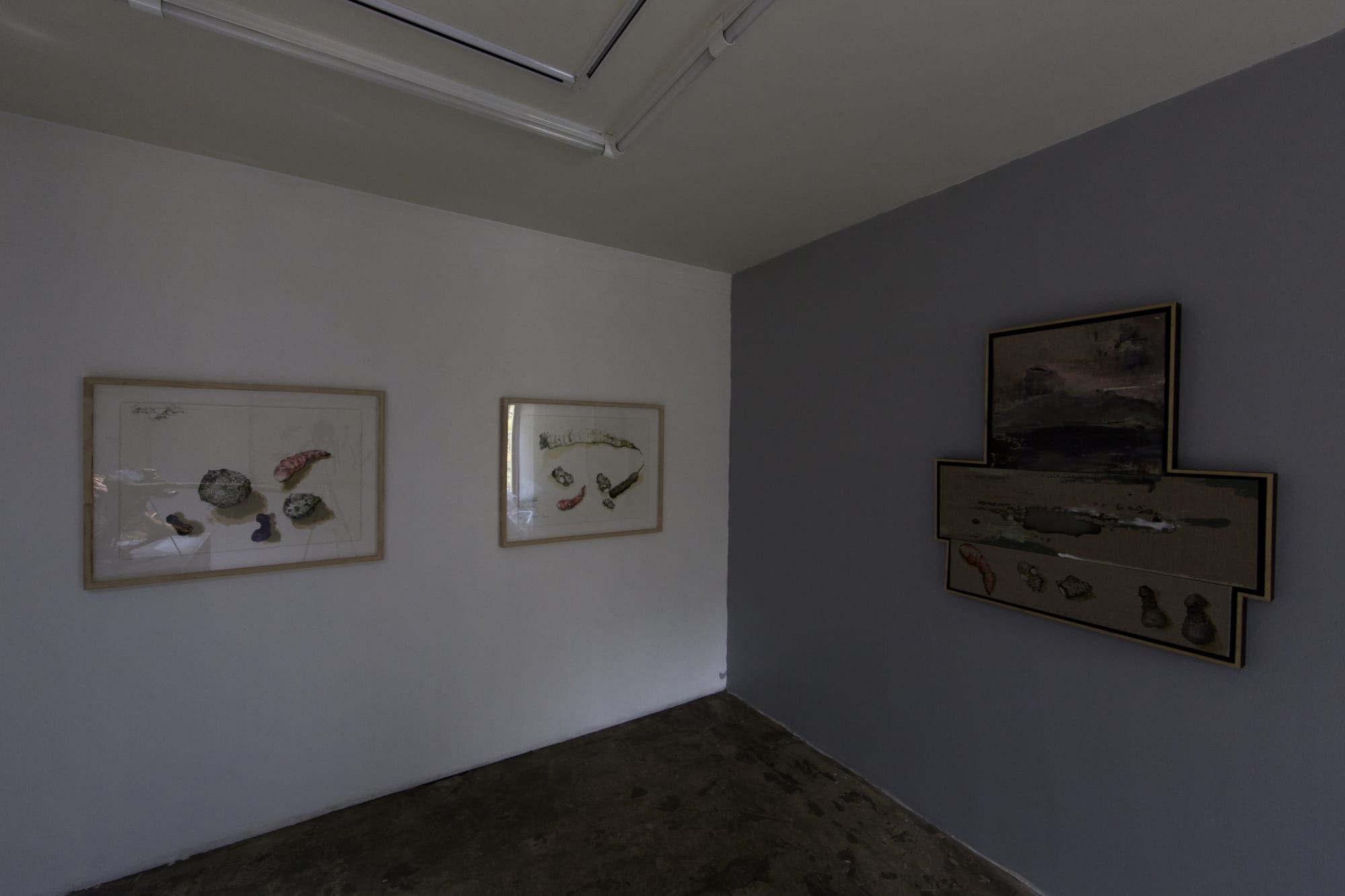 Fereydoun Ave & Shaqayeq Arabi | "Roots"