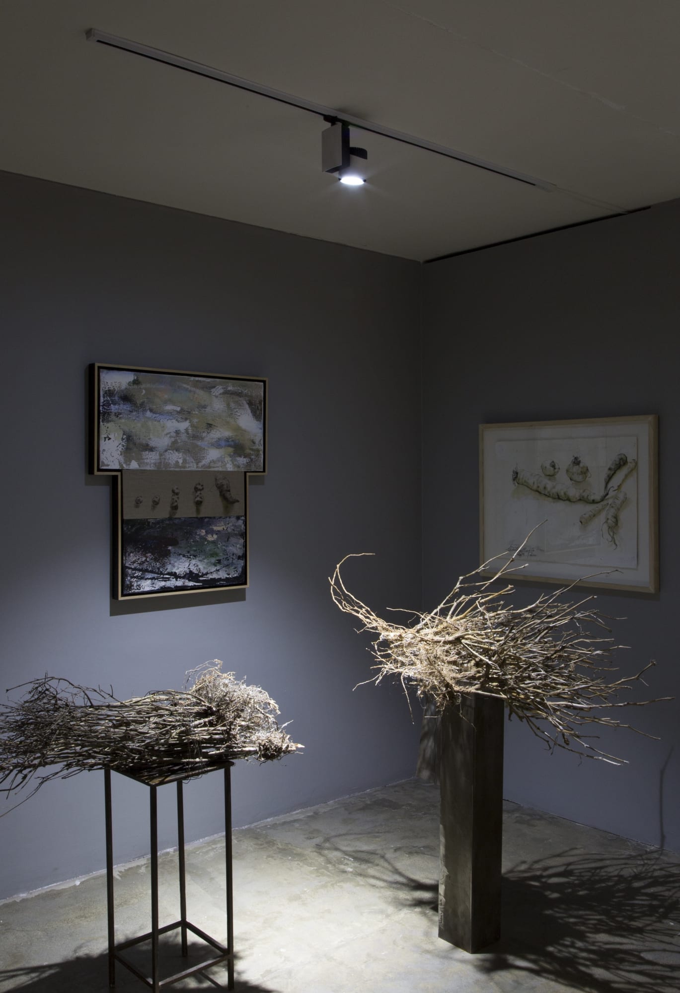 Fereydoun Ave & Shaqayeq Arabi | "Roots"