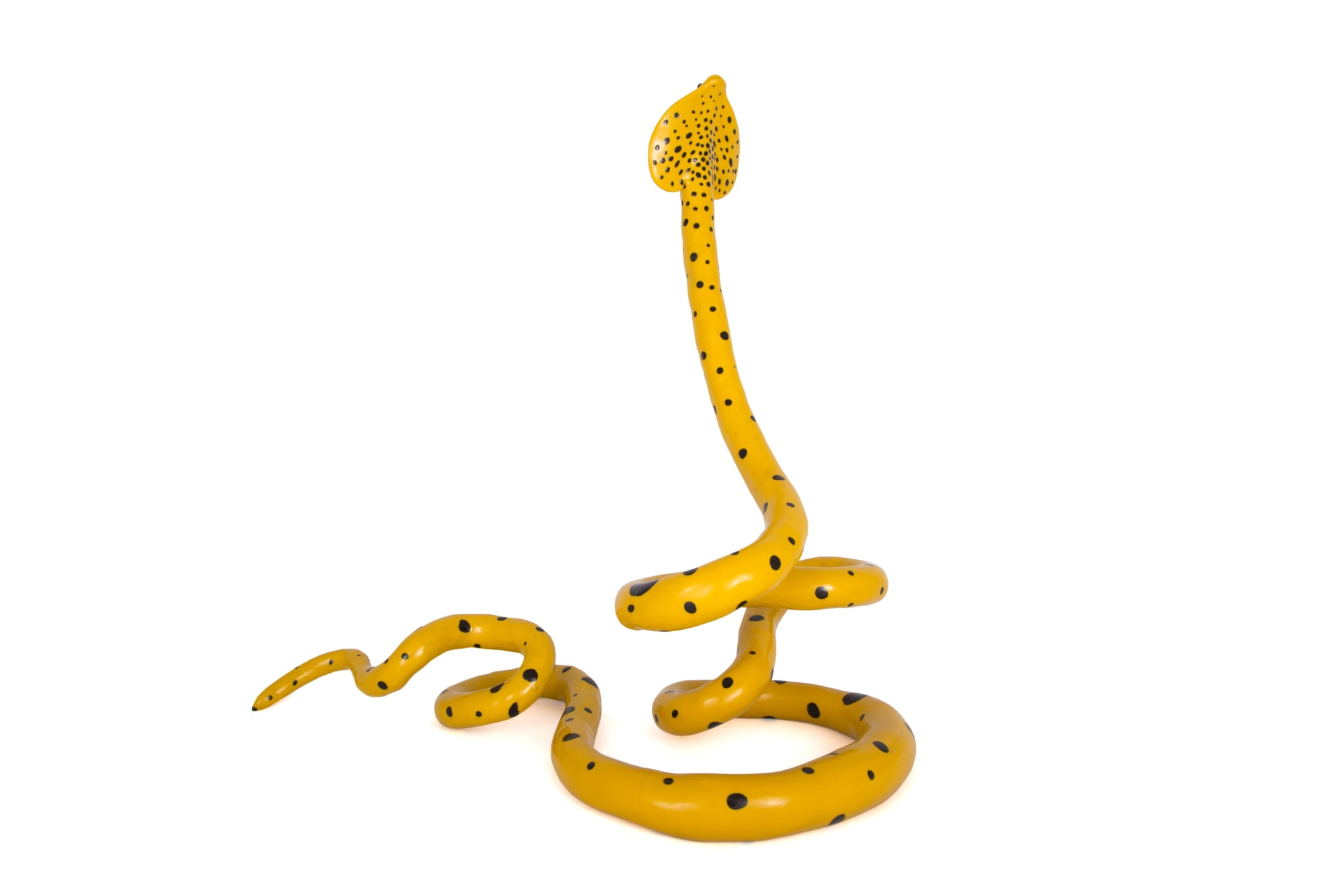 Amin Akbari | "Newborn Artist and Chigil's Candle"