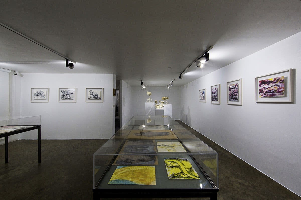 Pantea Rahmani | "Quarter"