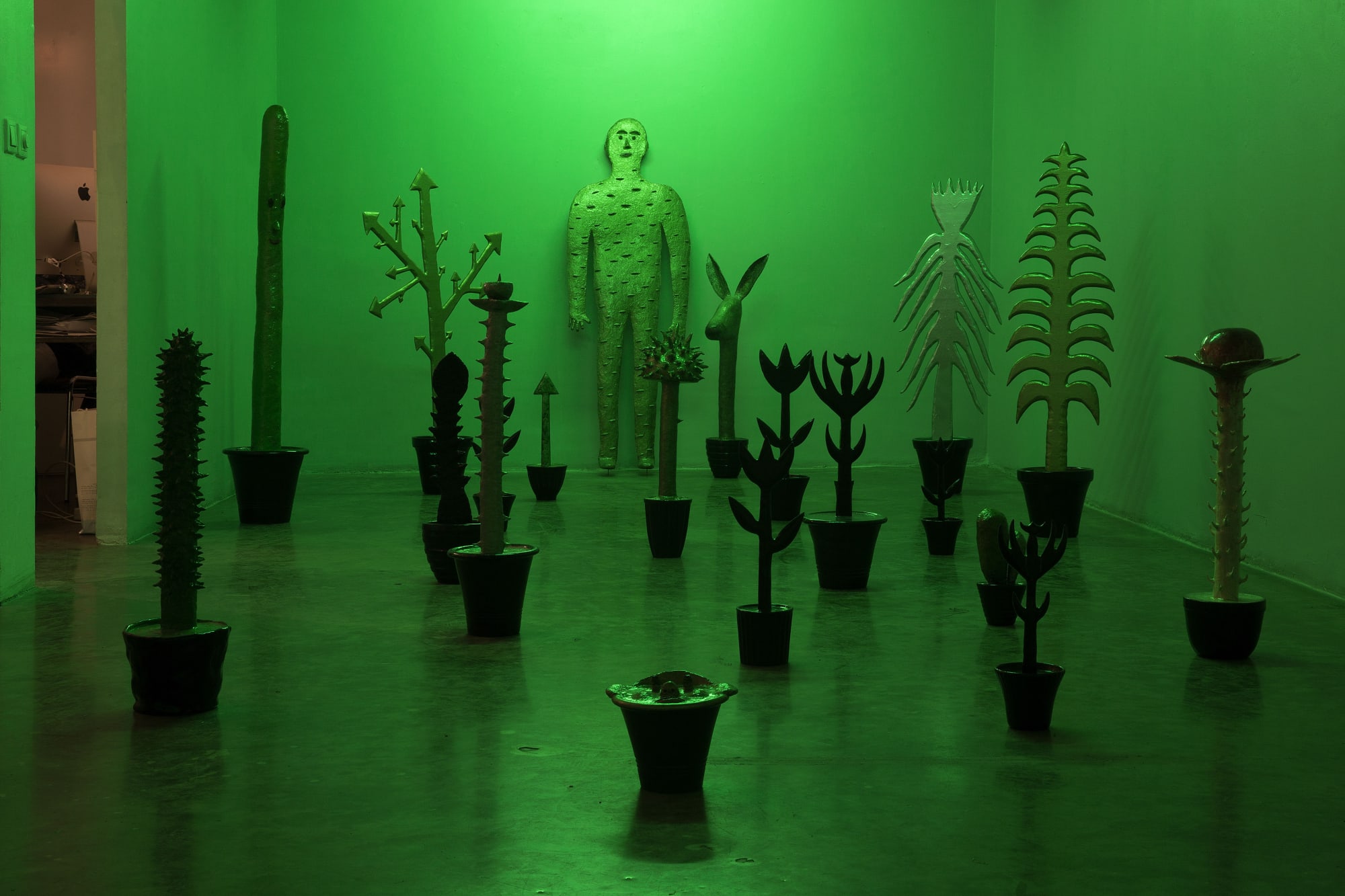 Amin Akbari | "The Outstanding Gardener"