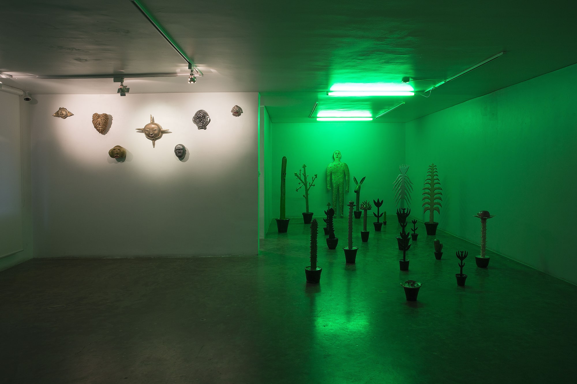 Amin Akbari | "The Outstanding Gardener"