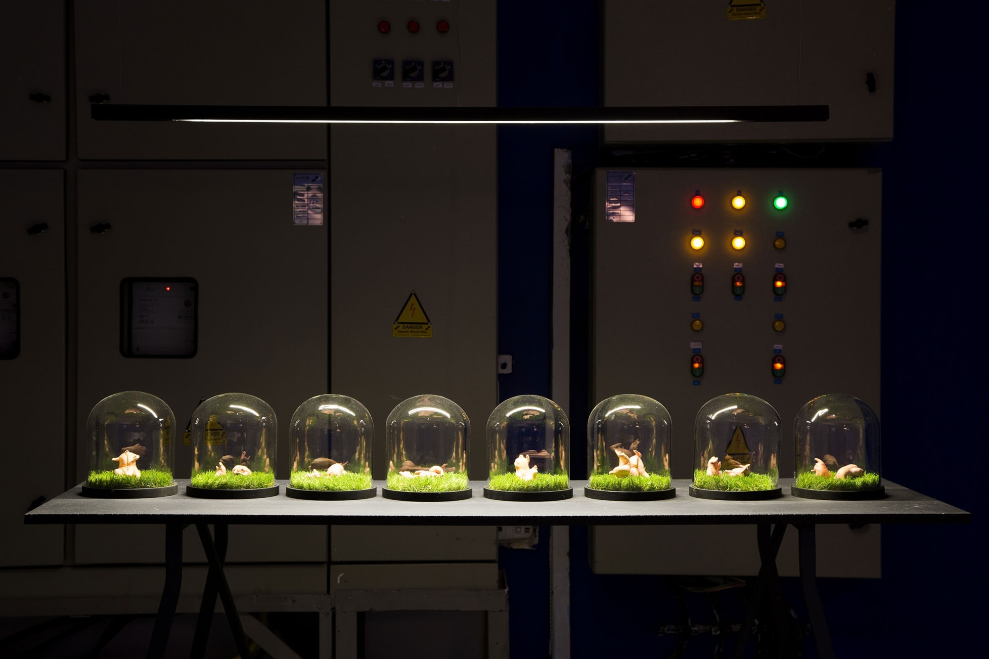 Azadeh Ramezani Tabrizi | "Free Range"