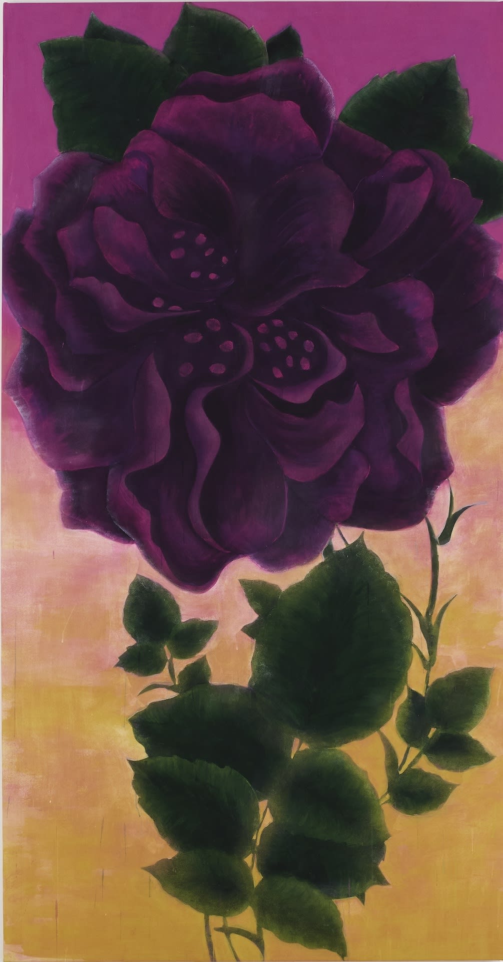 Iman Raad Untitled, 2020