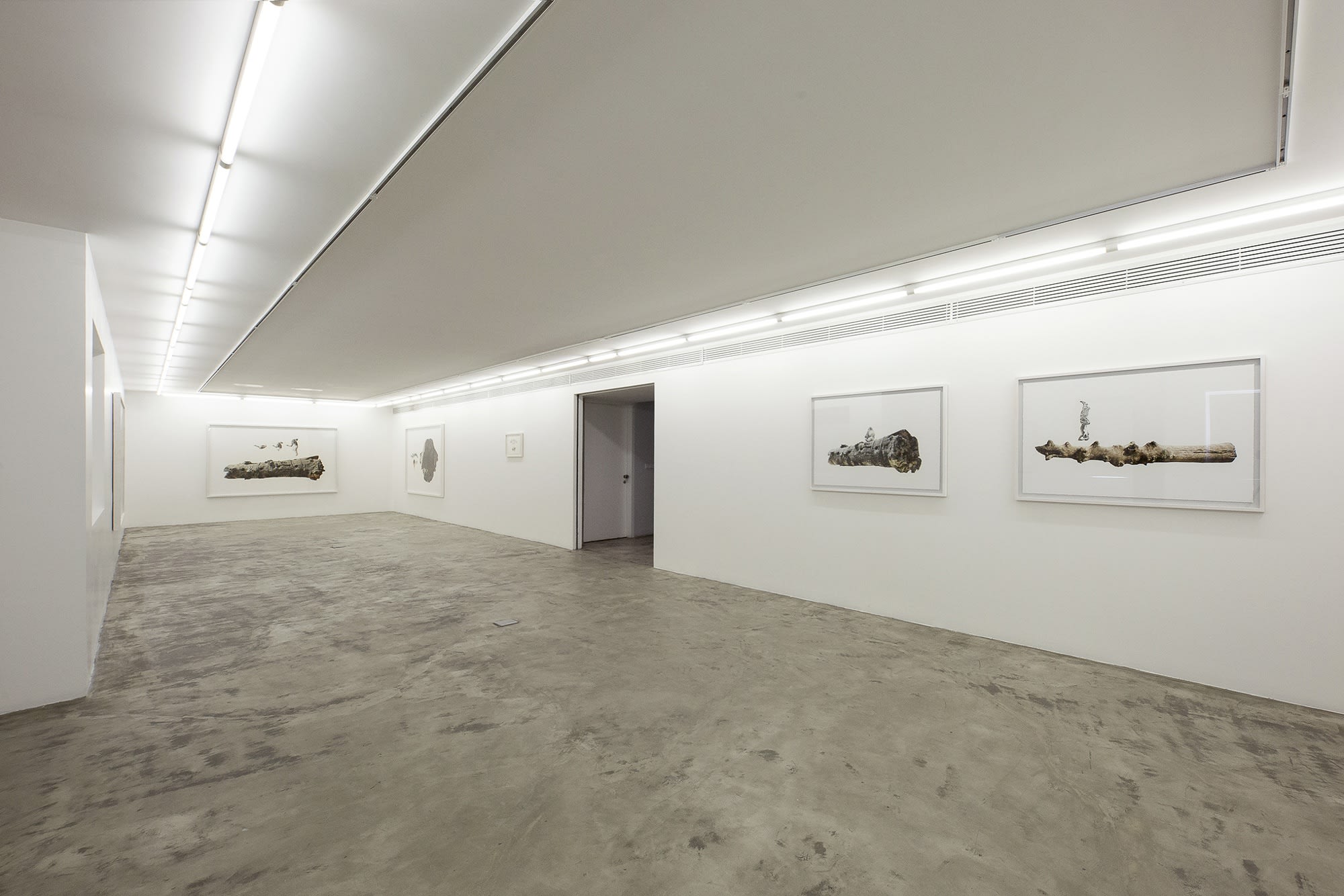 Installation View of Le Premier a solo presentation of works by Nima Zaare .