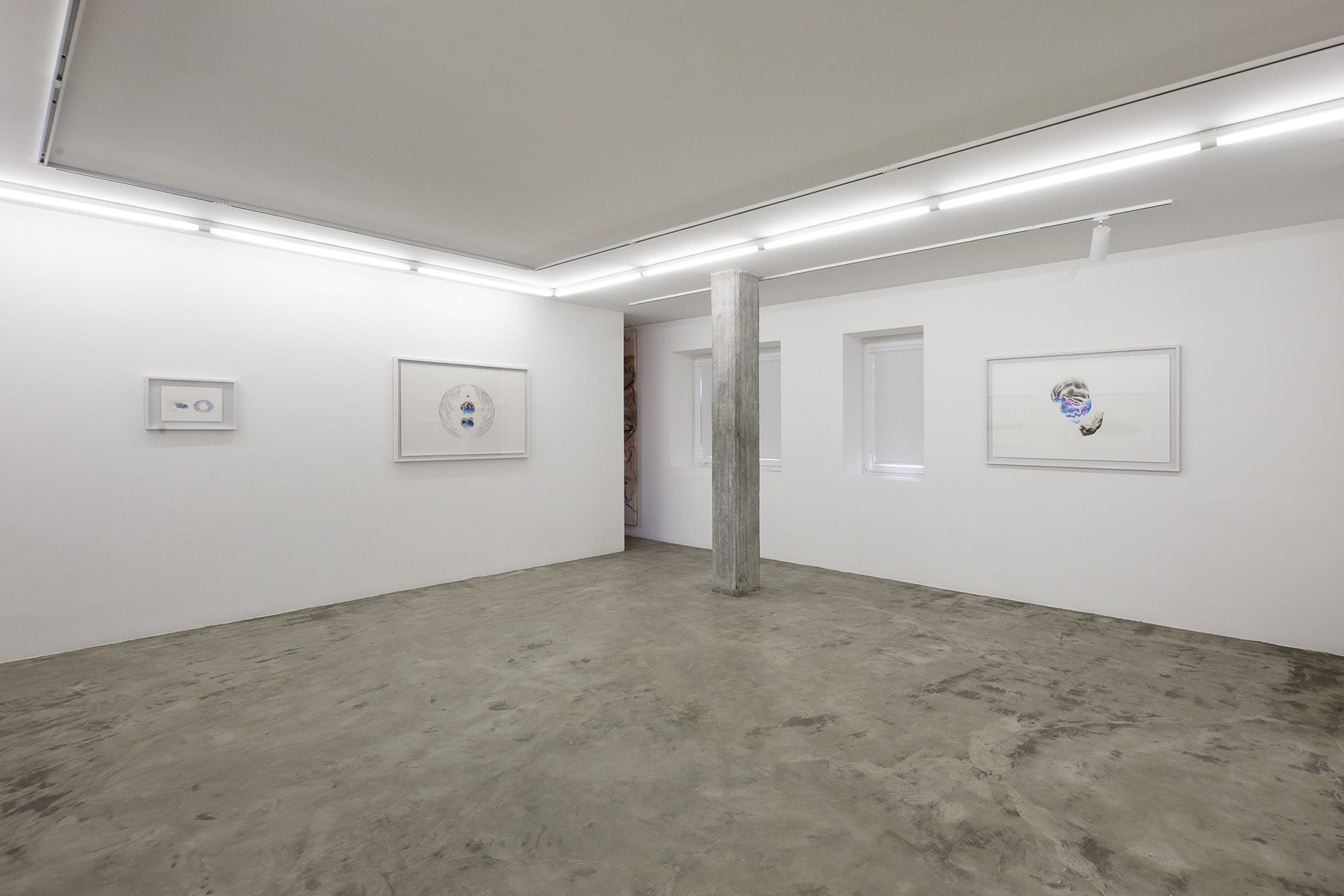 Installation View of Le Premier a solo presentation of works by Nima Zaare .