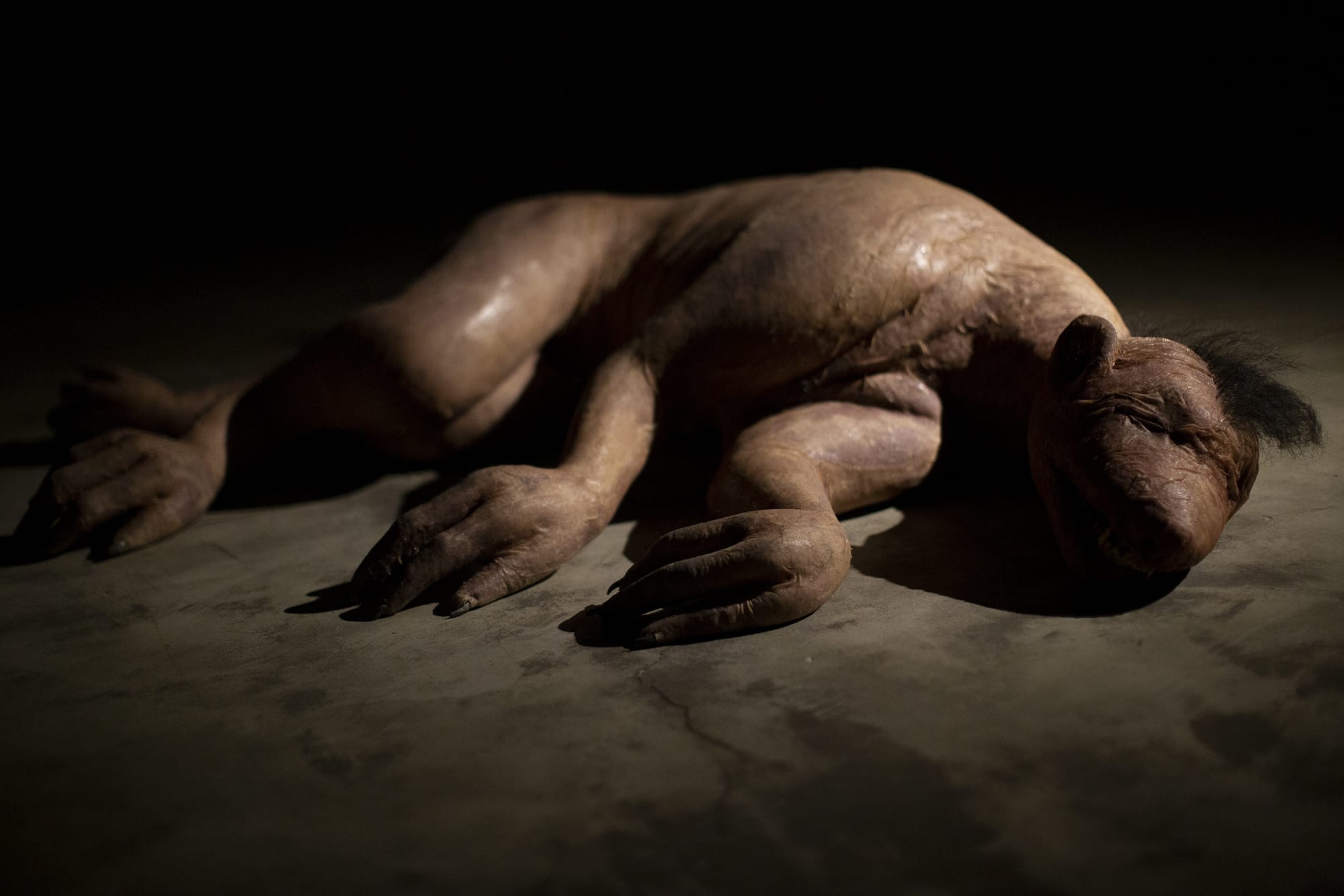 Installation View of XA LA a solo presentation of works by Peybak.