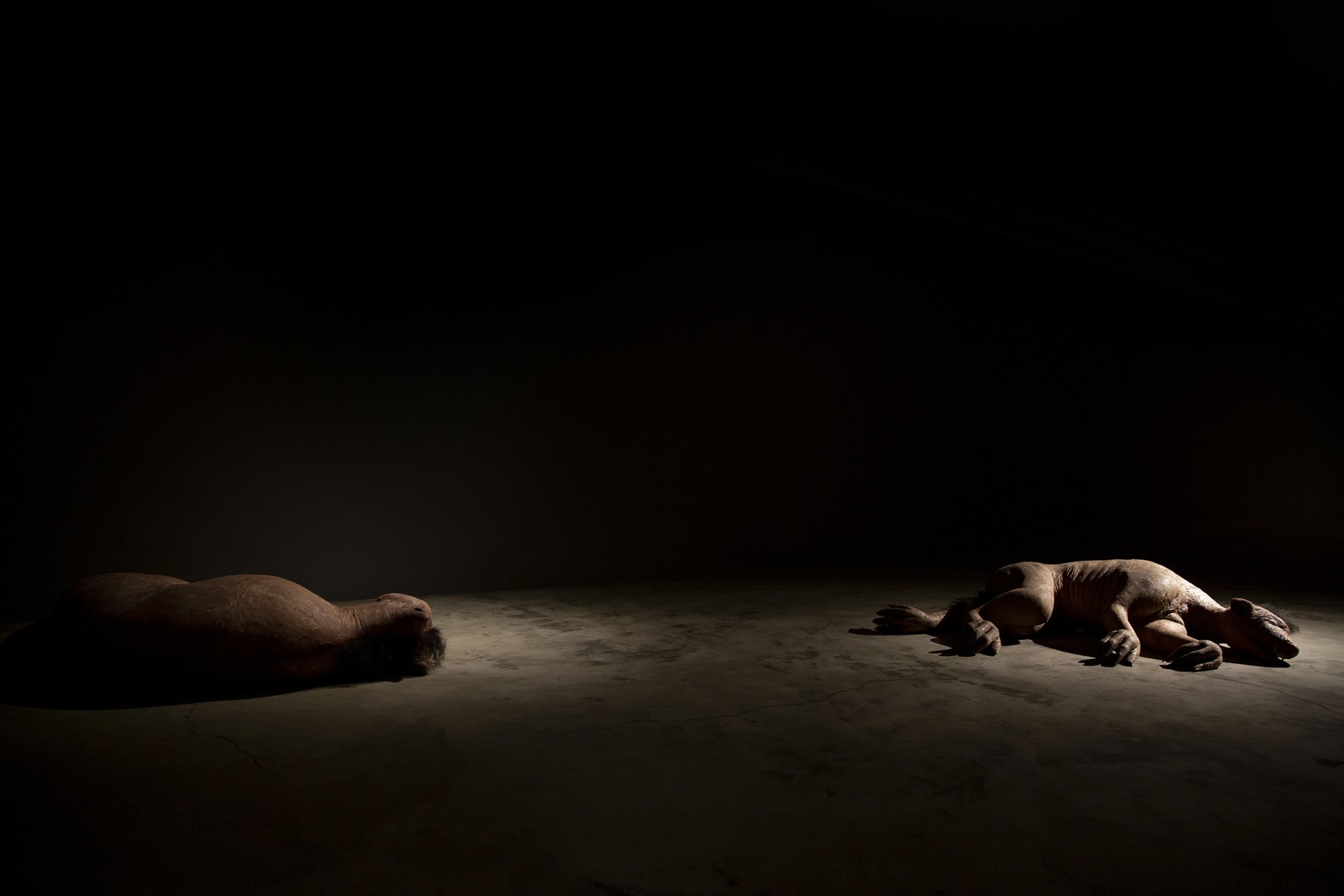 Installation View of XA LA a solo presentation of works by Peybak.