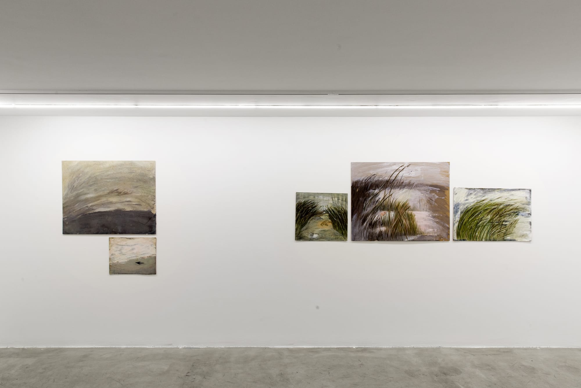 Installation view of Shame a solo exhibition of works by Samira Shakeri.