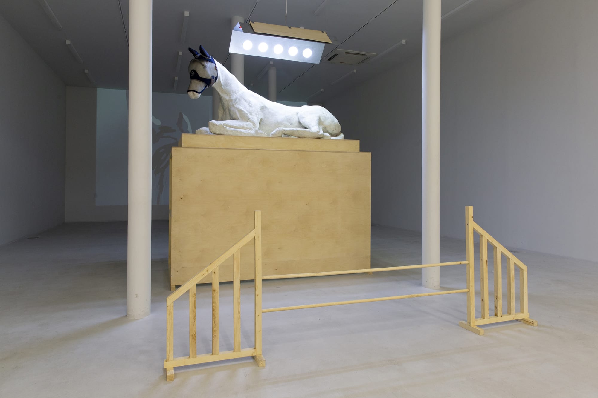 Installation View of Rest a solo presentation of works by Sepideh Zamani.