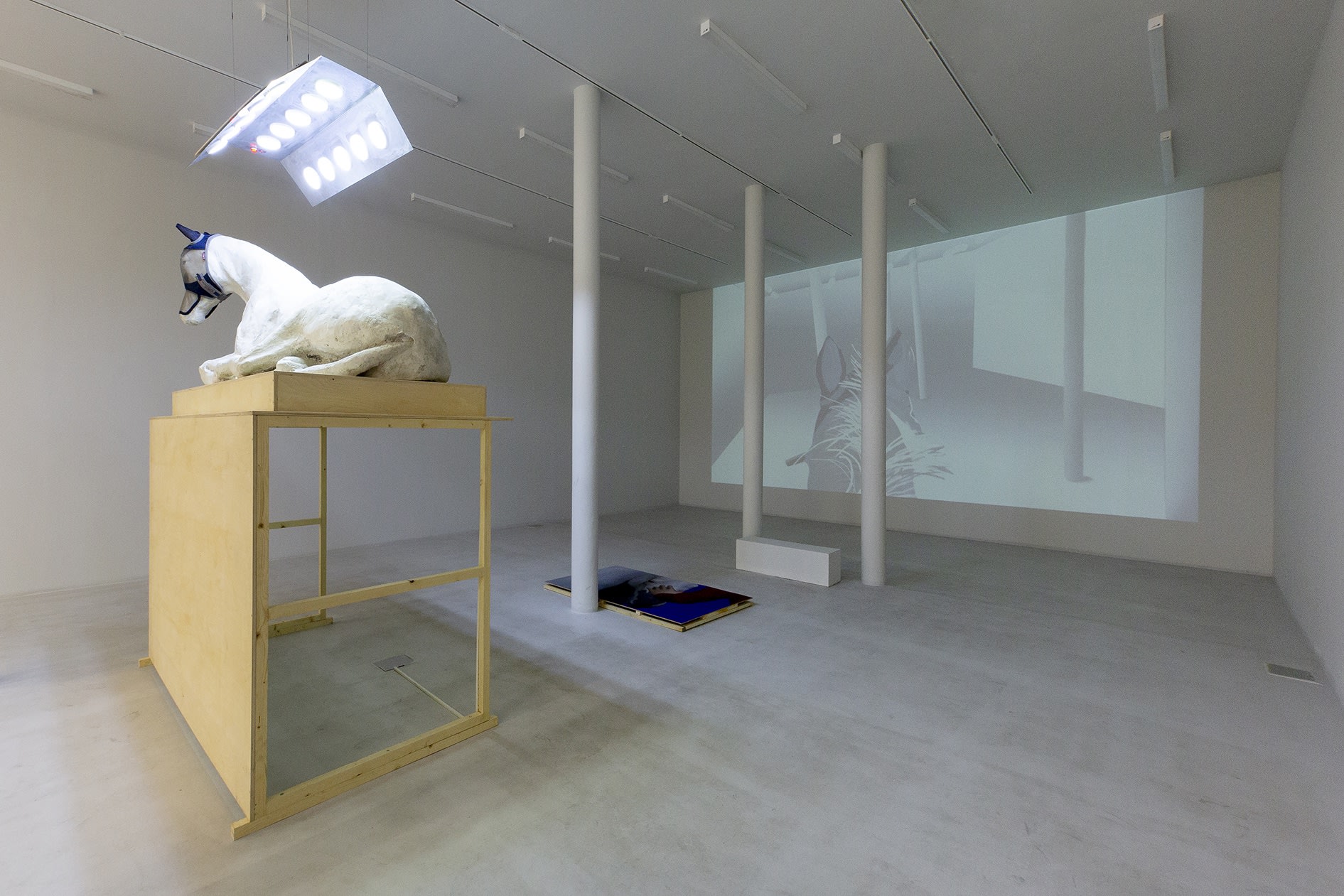 Installation View of Rest a solo presentation of works by Sepideh Zamani.