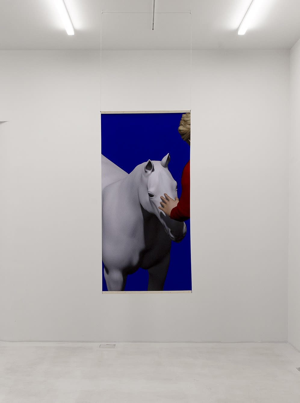 Installation View of Rest a solo presentation of works by Sepideh Zamani.